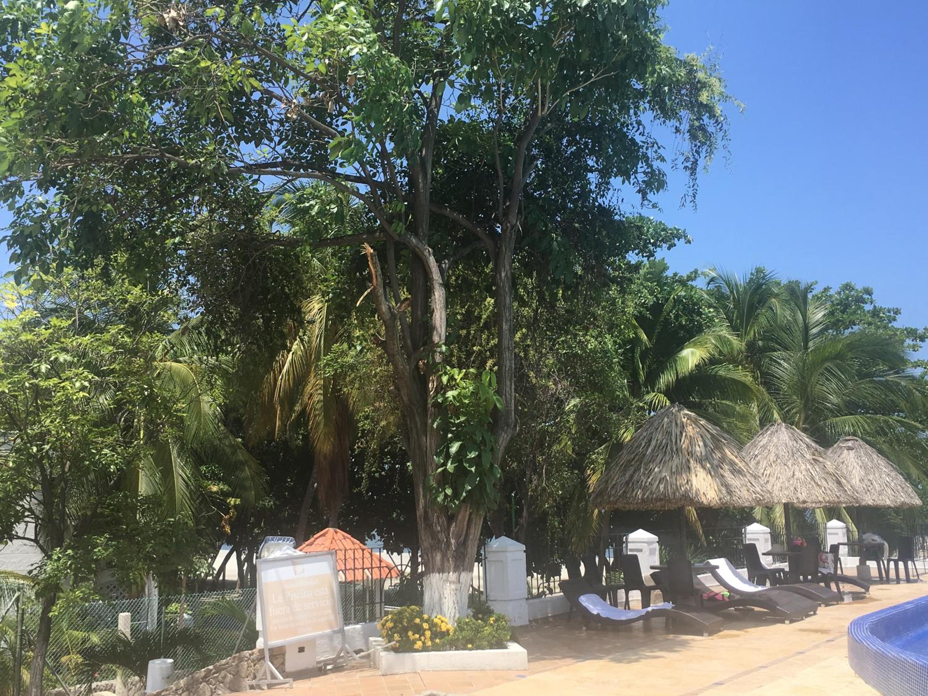 Costa Azul Suite 606