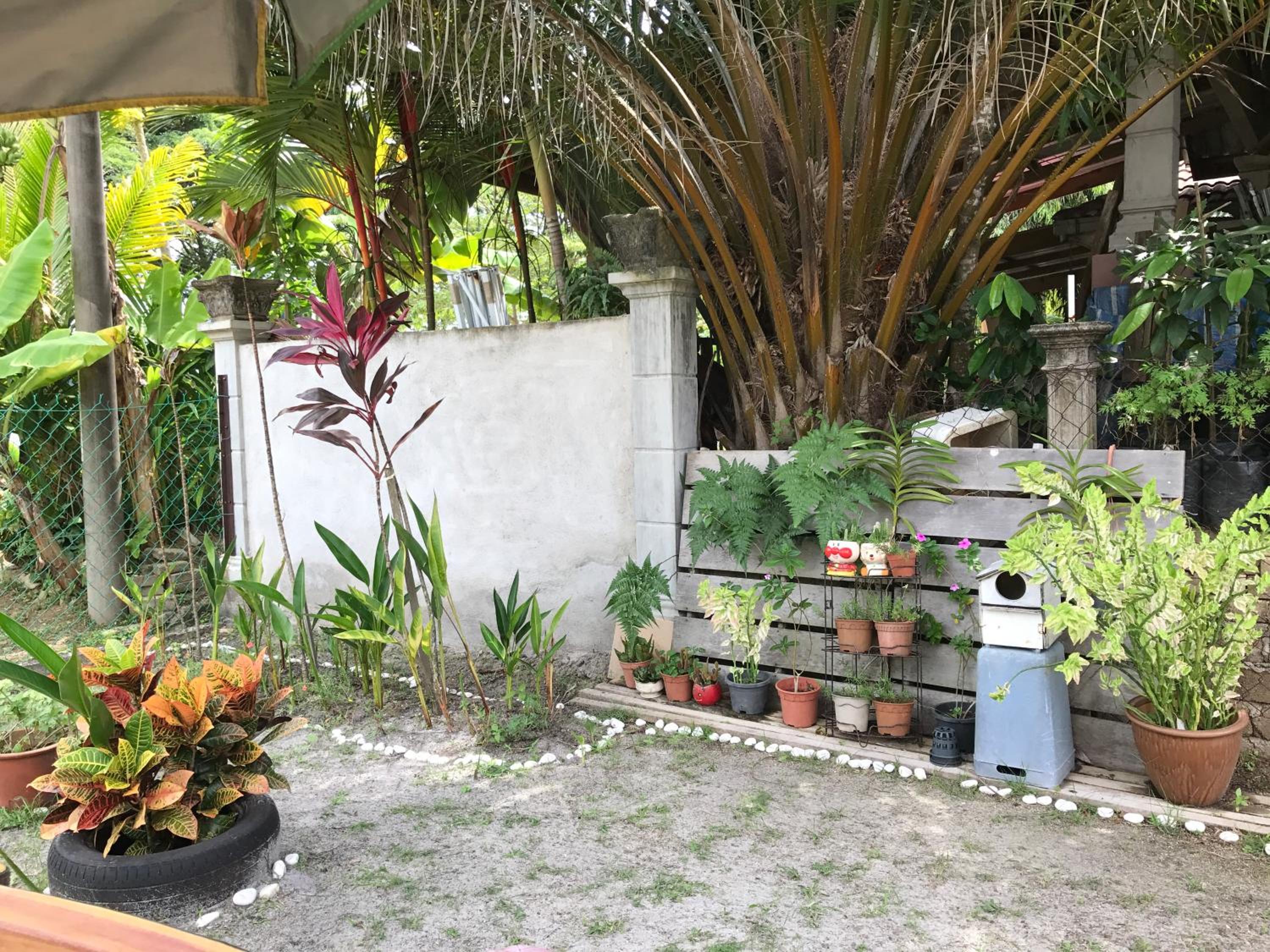Photo 18