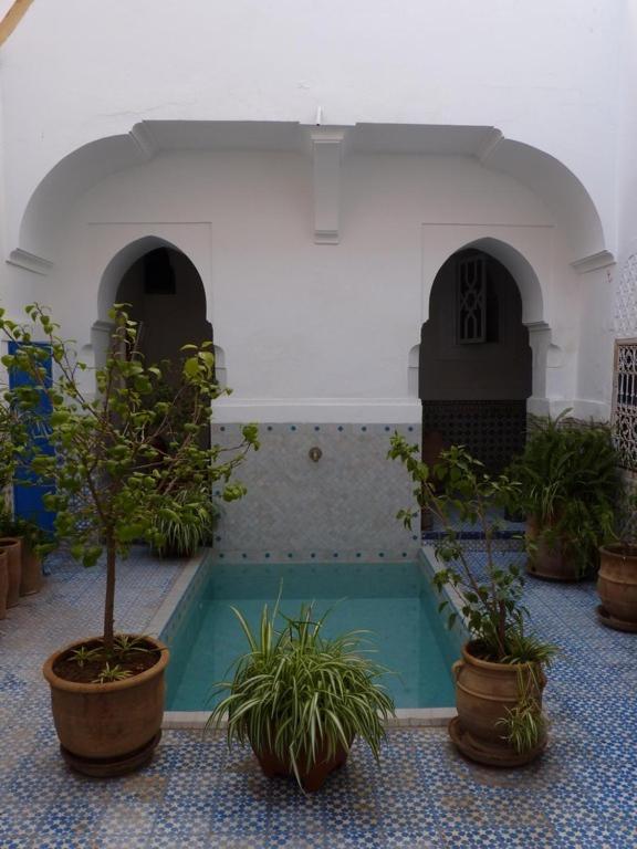 Riad Ifoulki