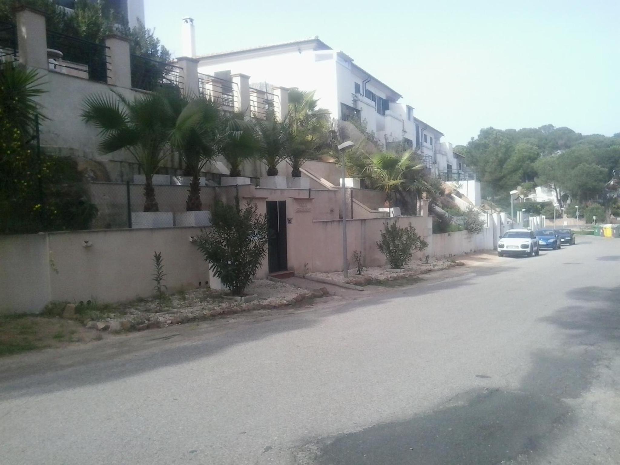 Photo 43