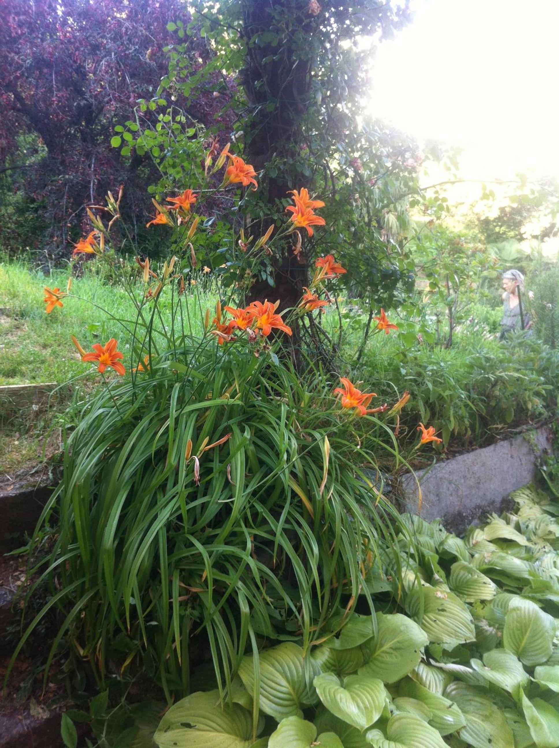 Photo 8