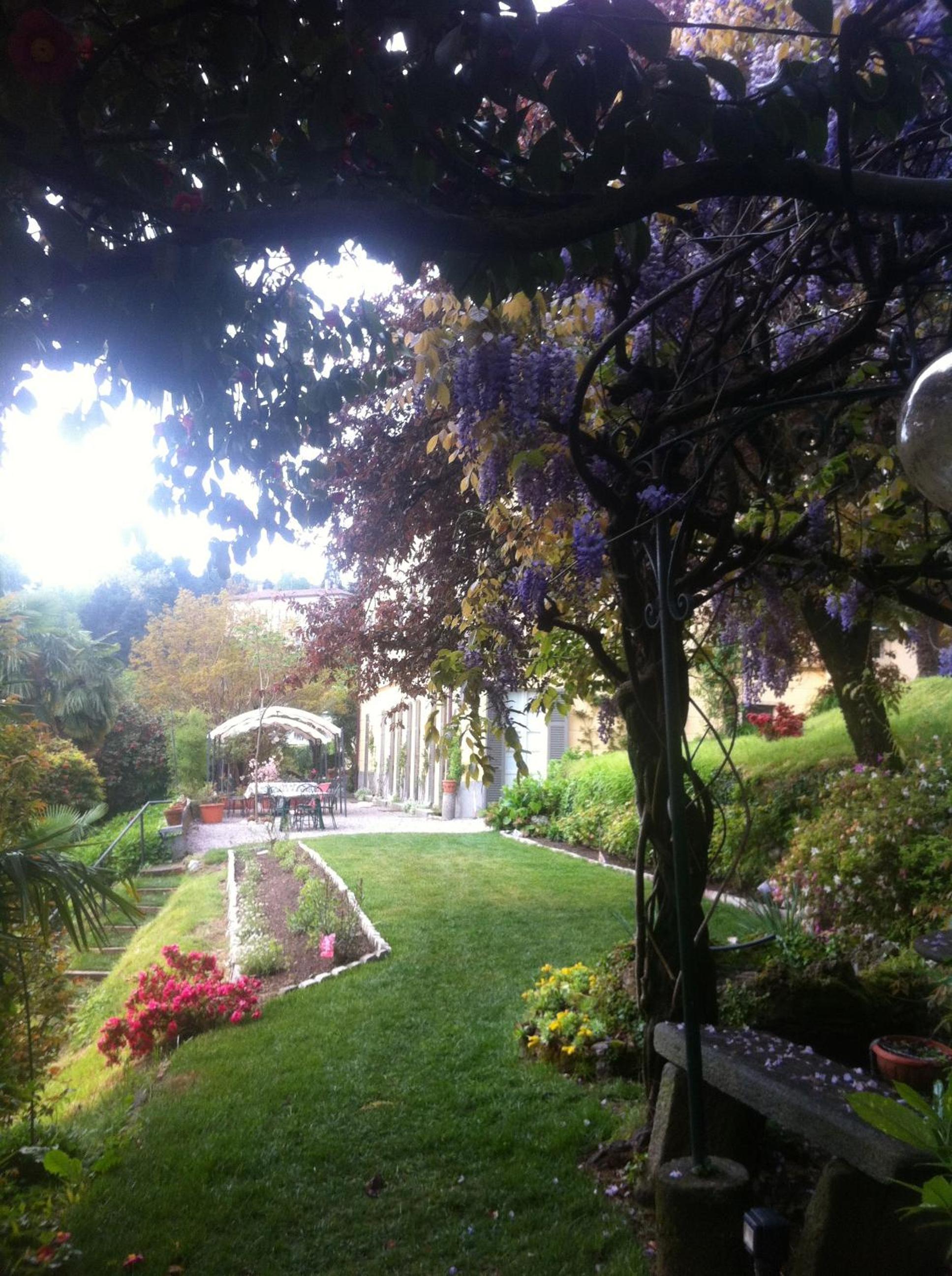 Photo 46