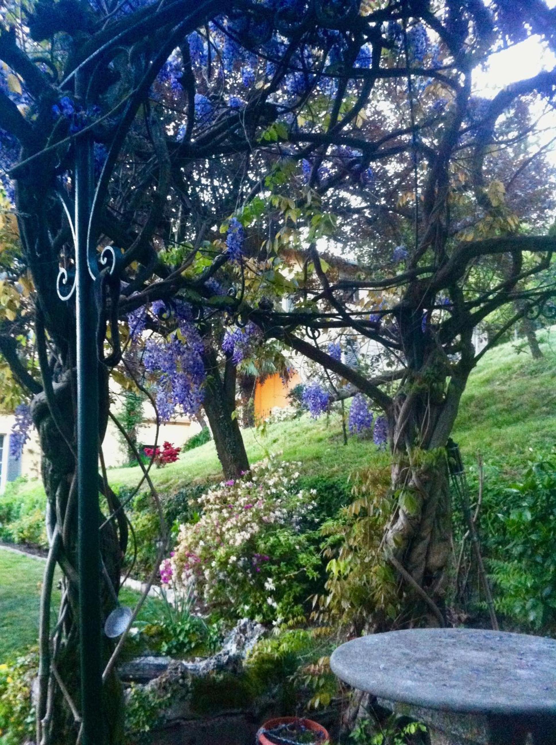 Villa Corti view 5