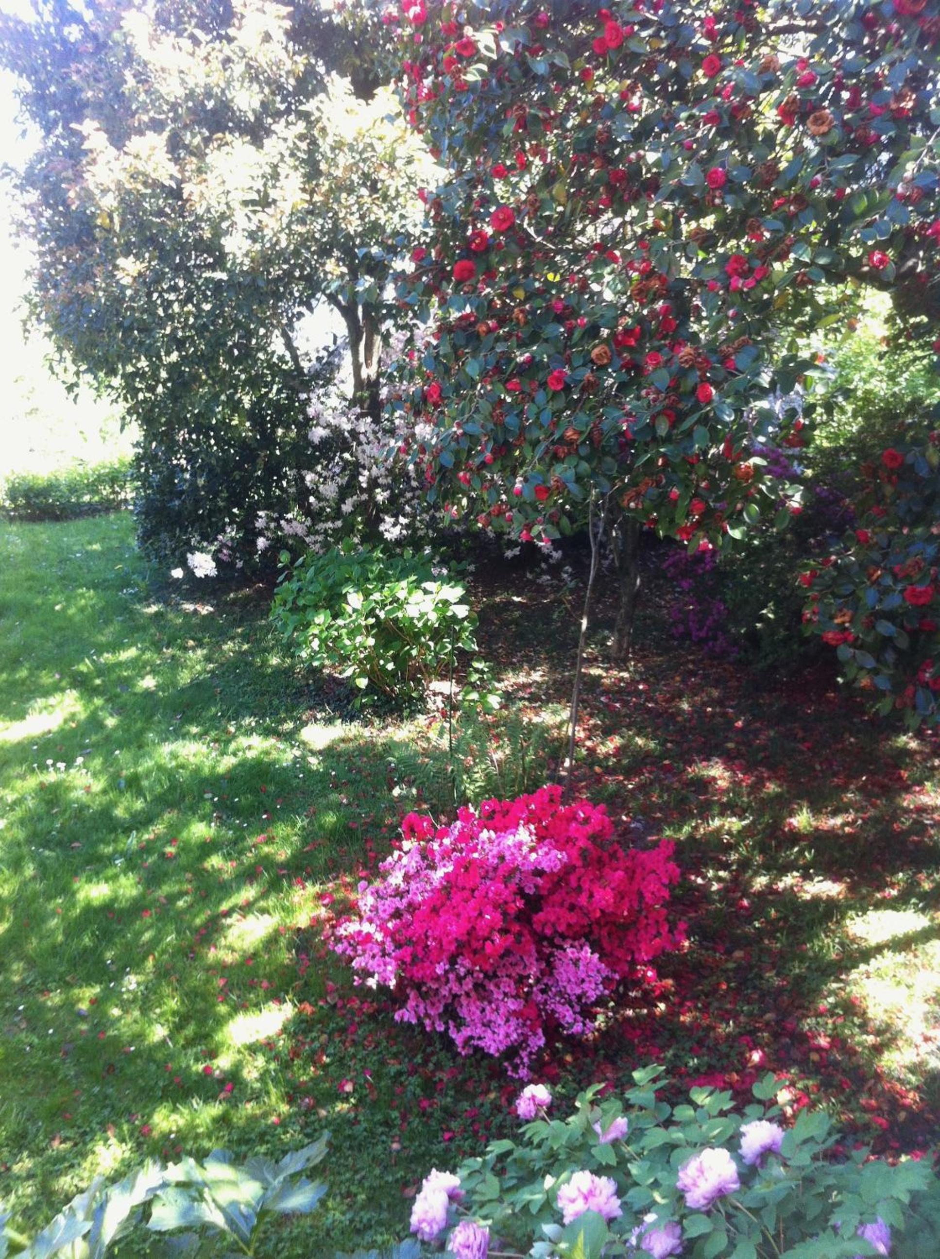 Photo 48