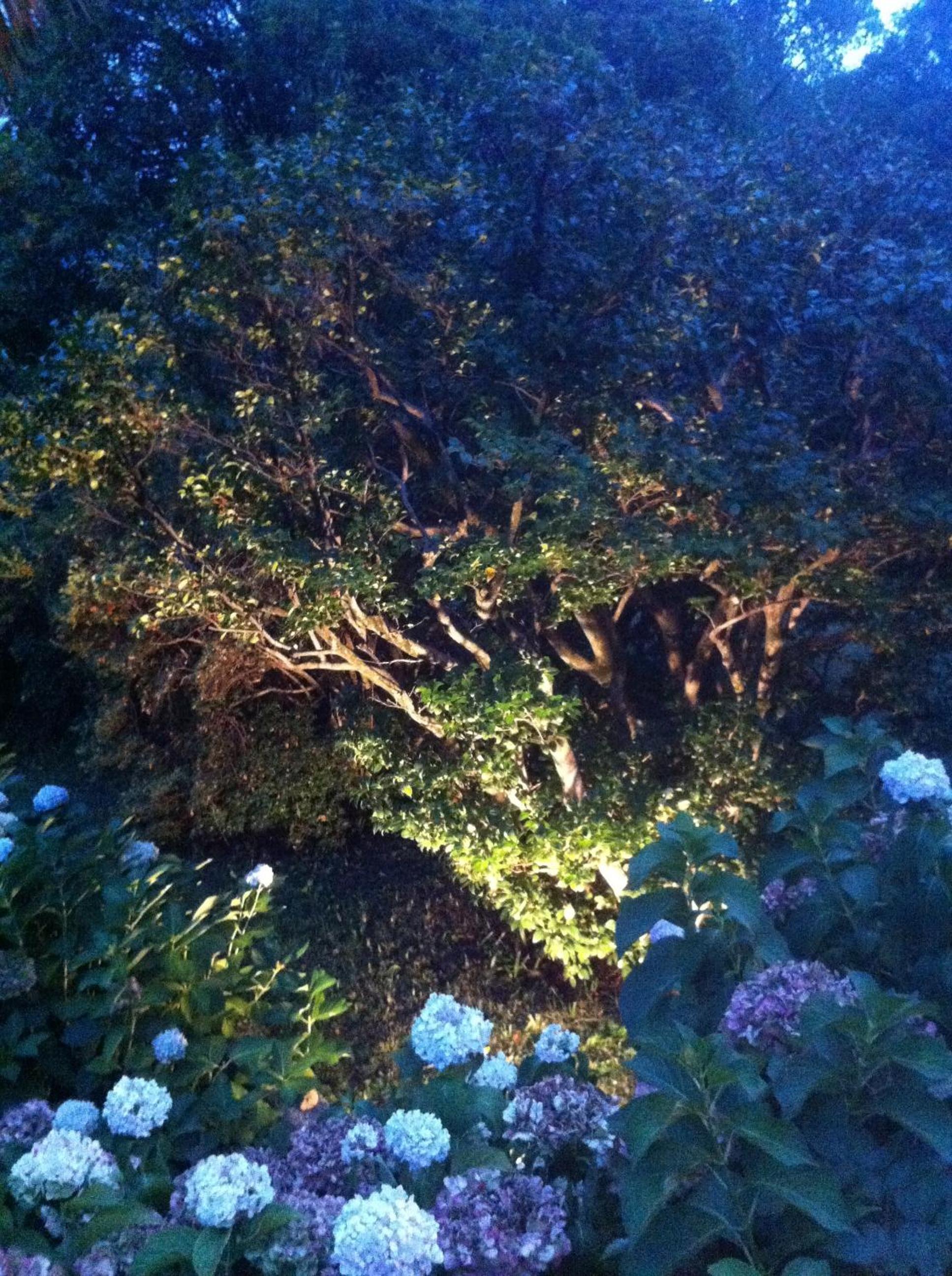 Photo 49