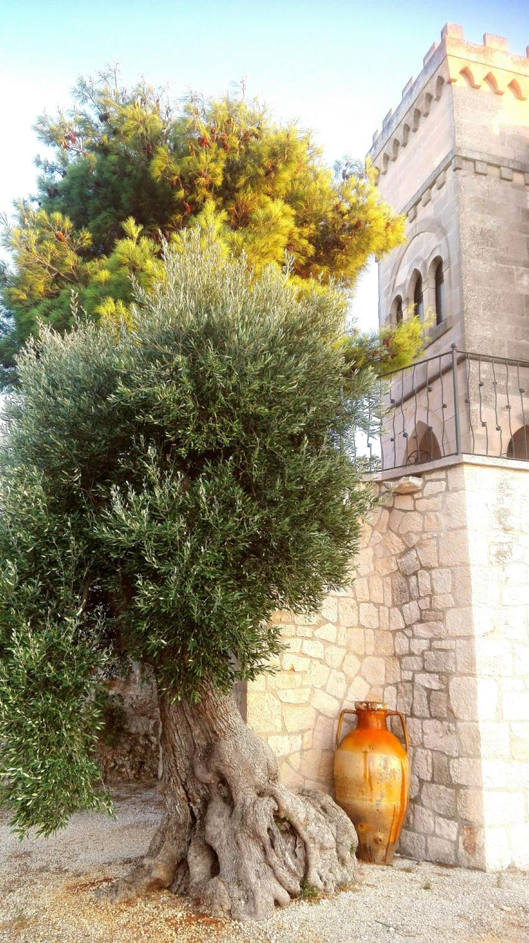 Photo 24