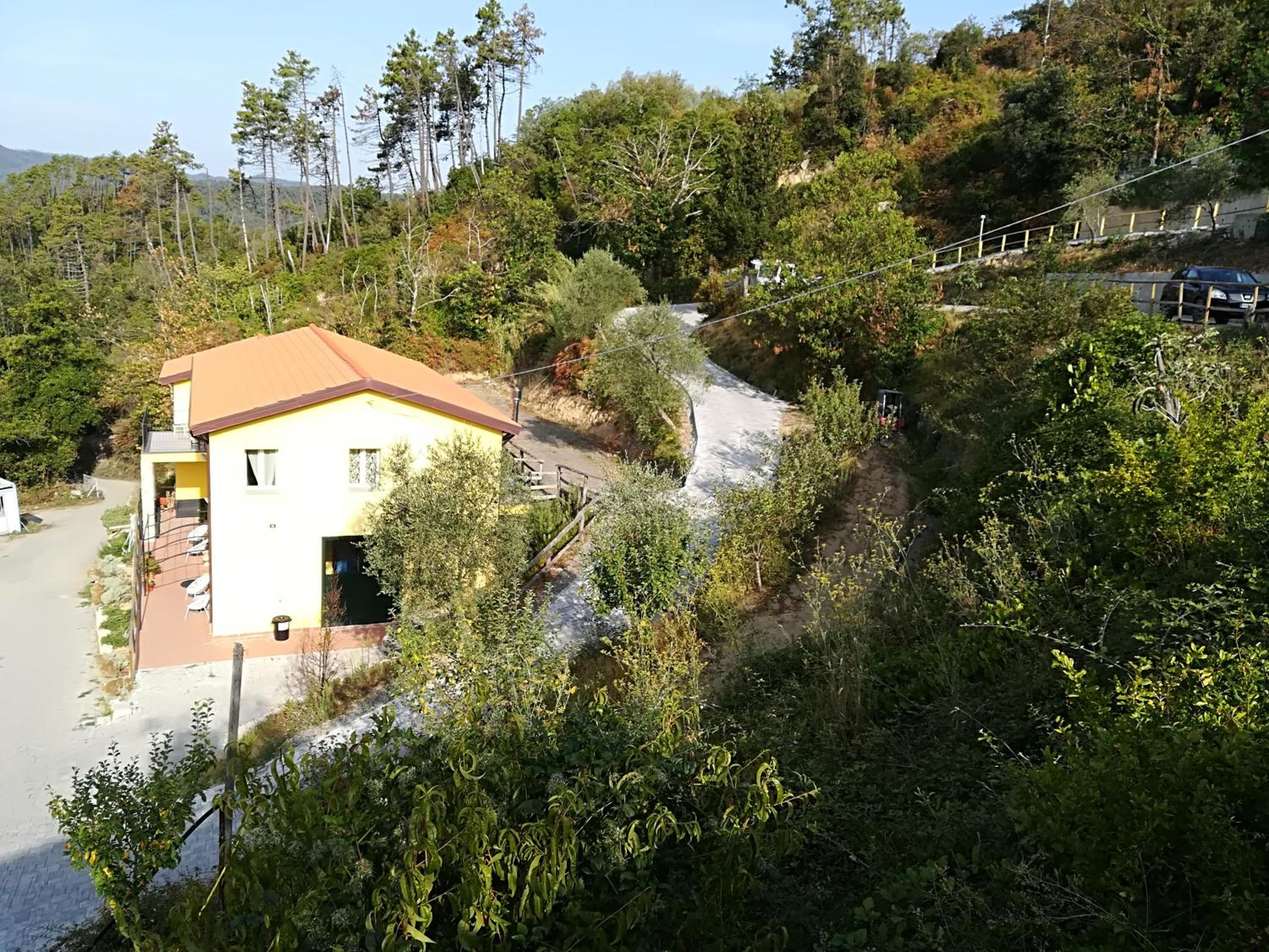 Photo 13