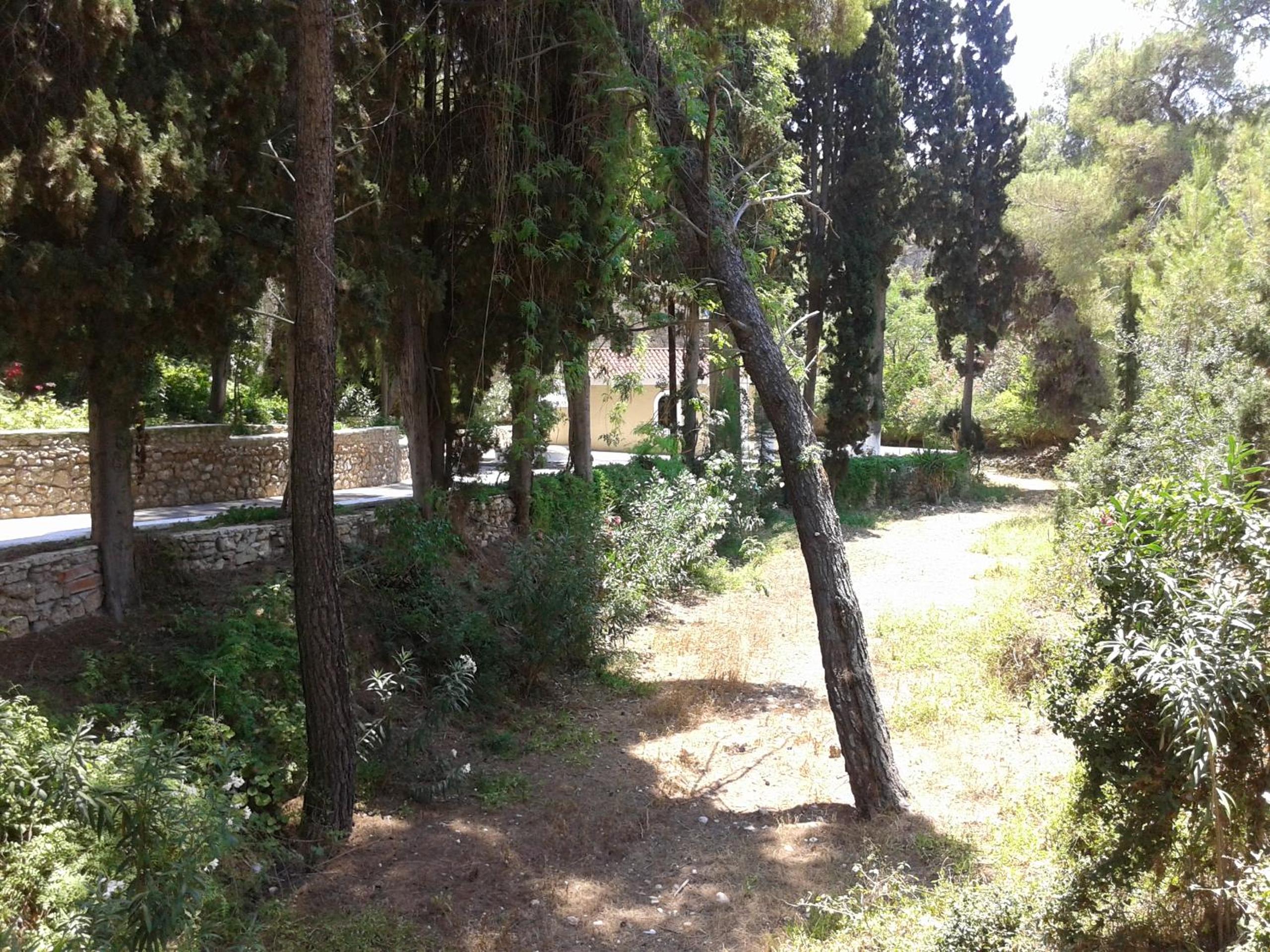 Photo 31