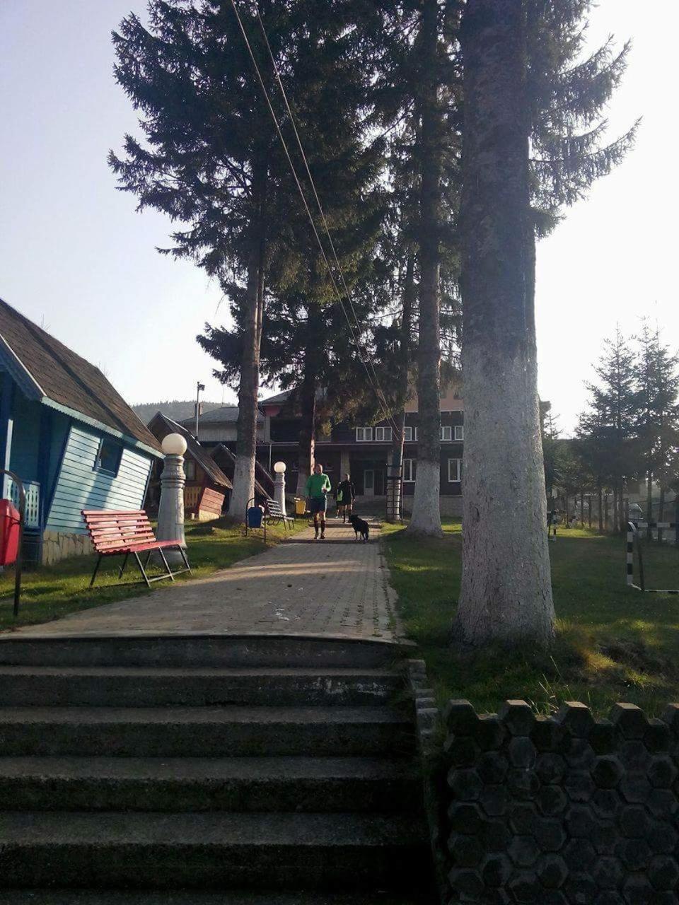Photo 42