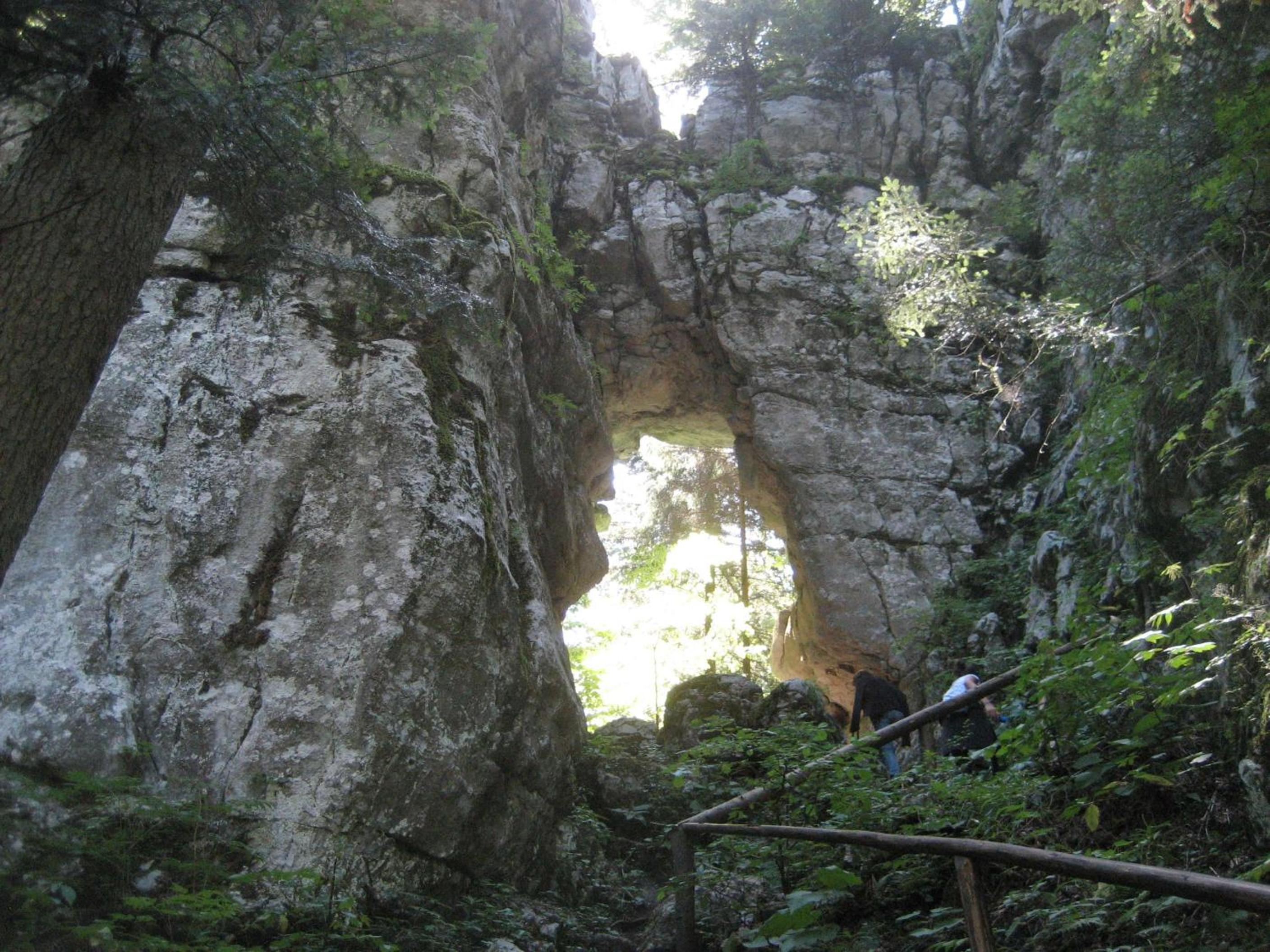 Photo 33