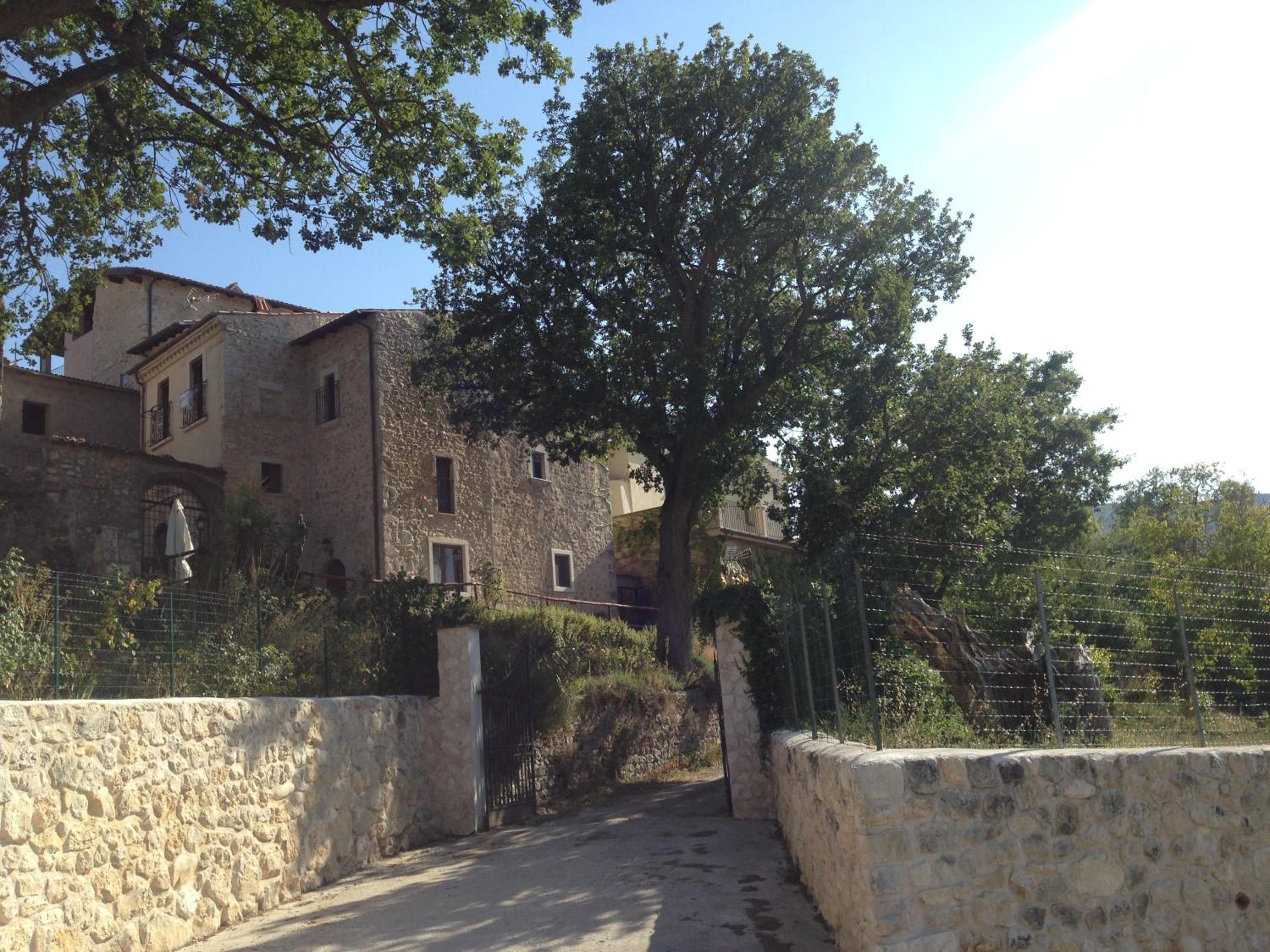 Photo 18