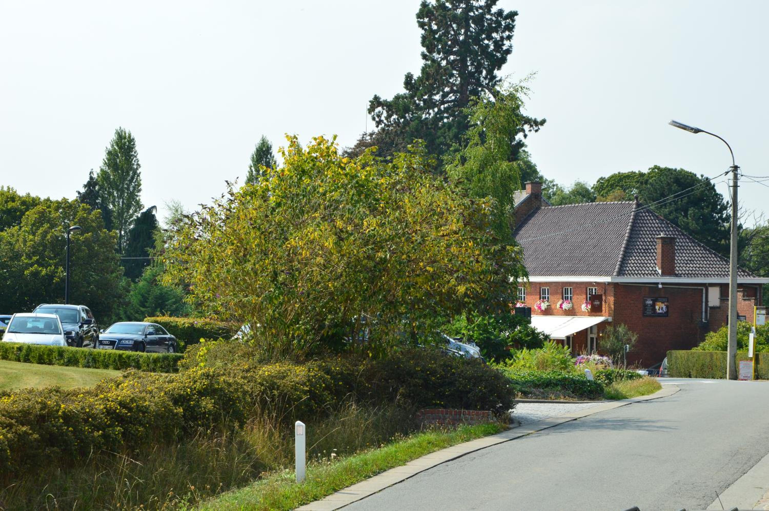 Vakantiewoning Le bonheur de Louise