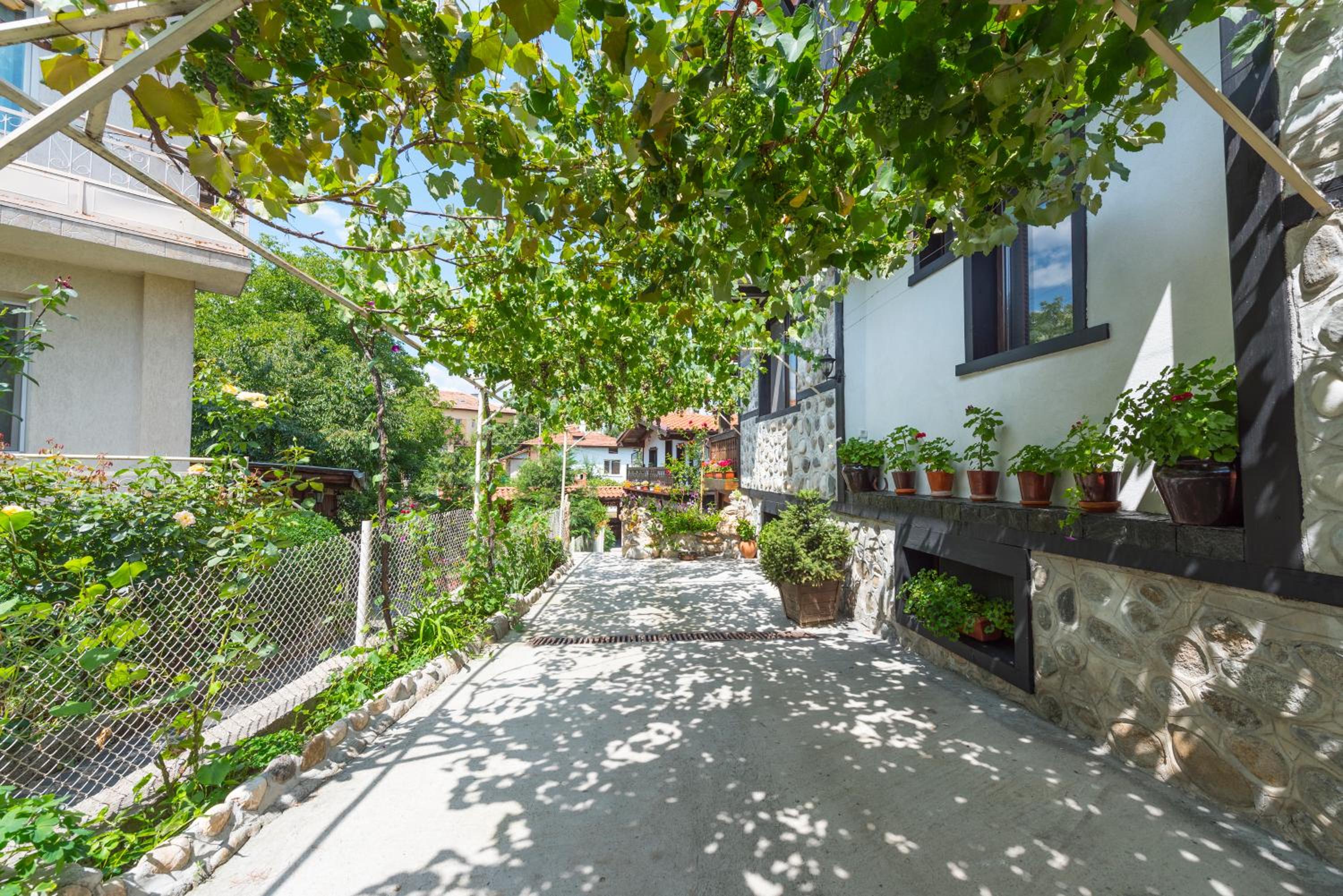 Oasis Guest House