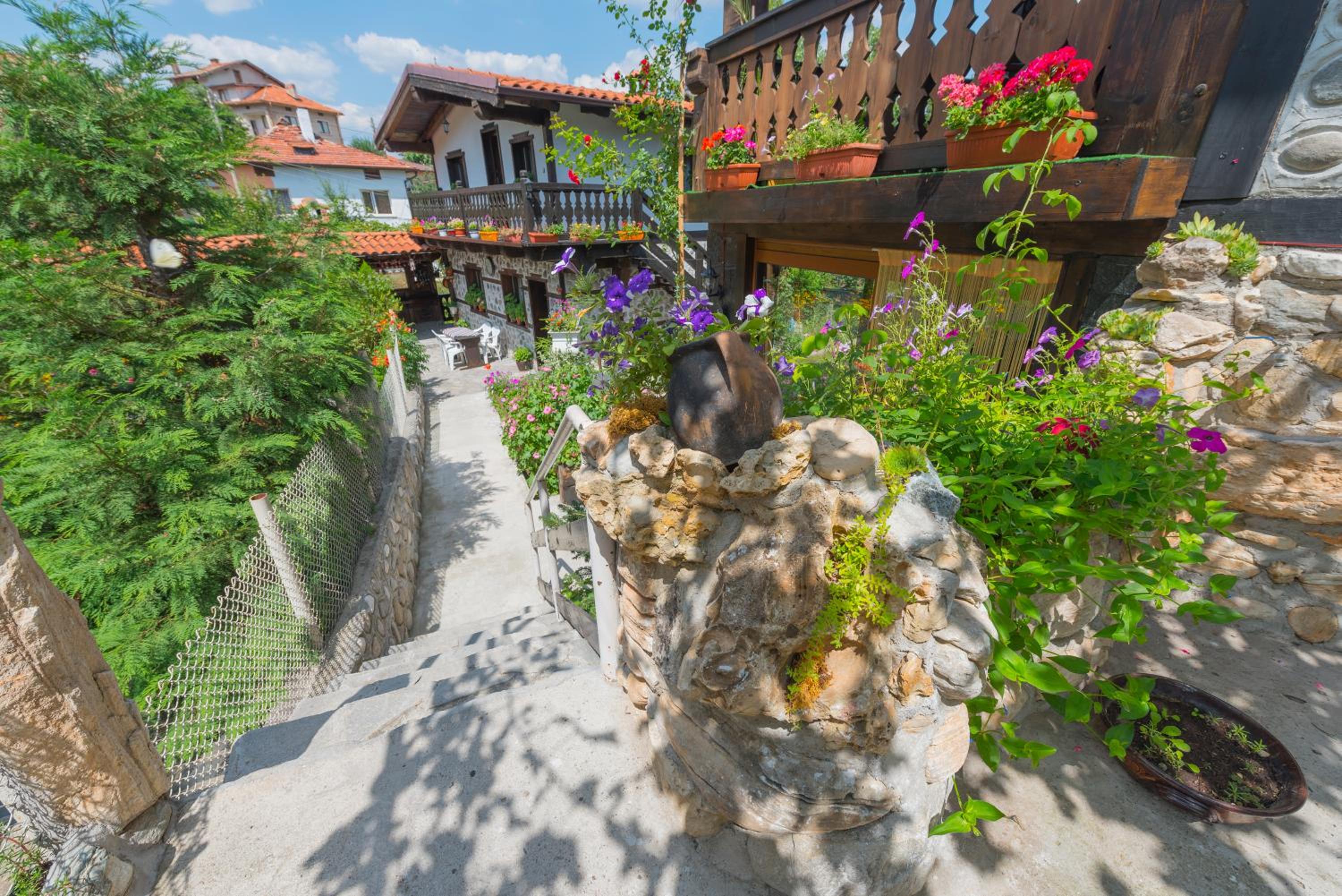 Oasis Guest House