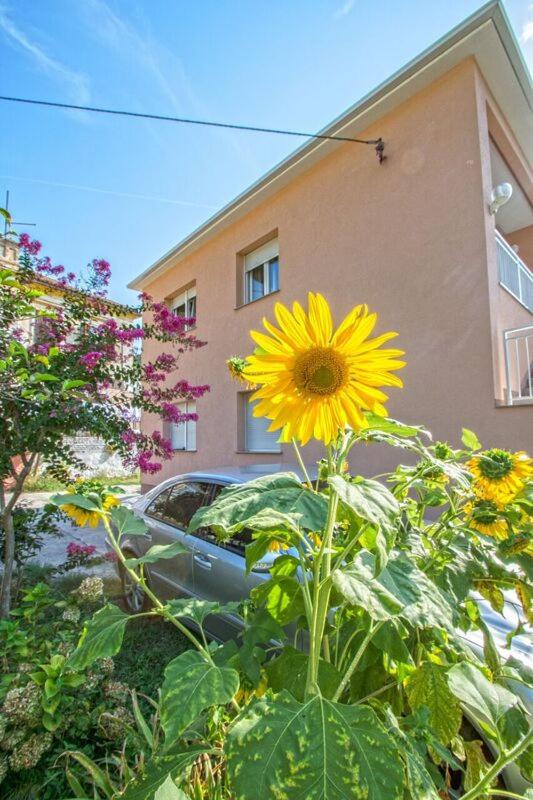 Apartman Nena Crikvenica view 3