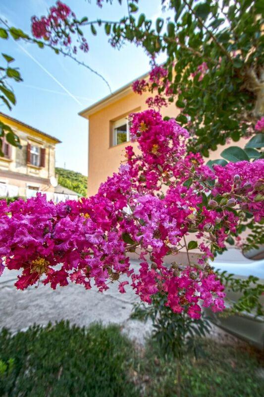 Apartman Nena Crikvenica view 5