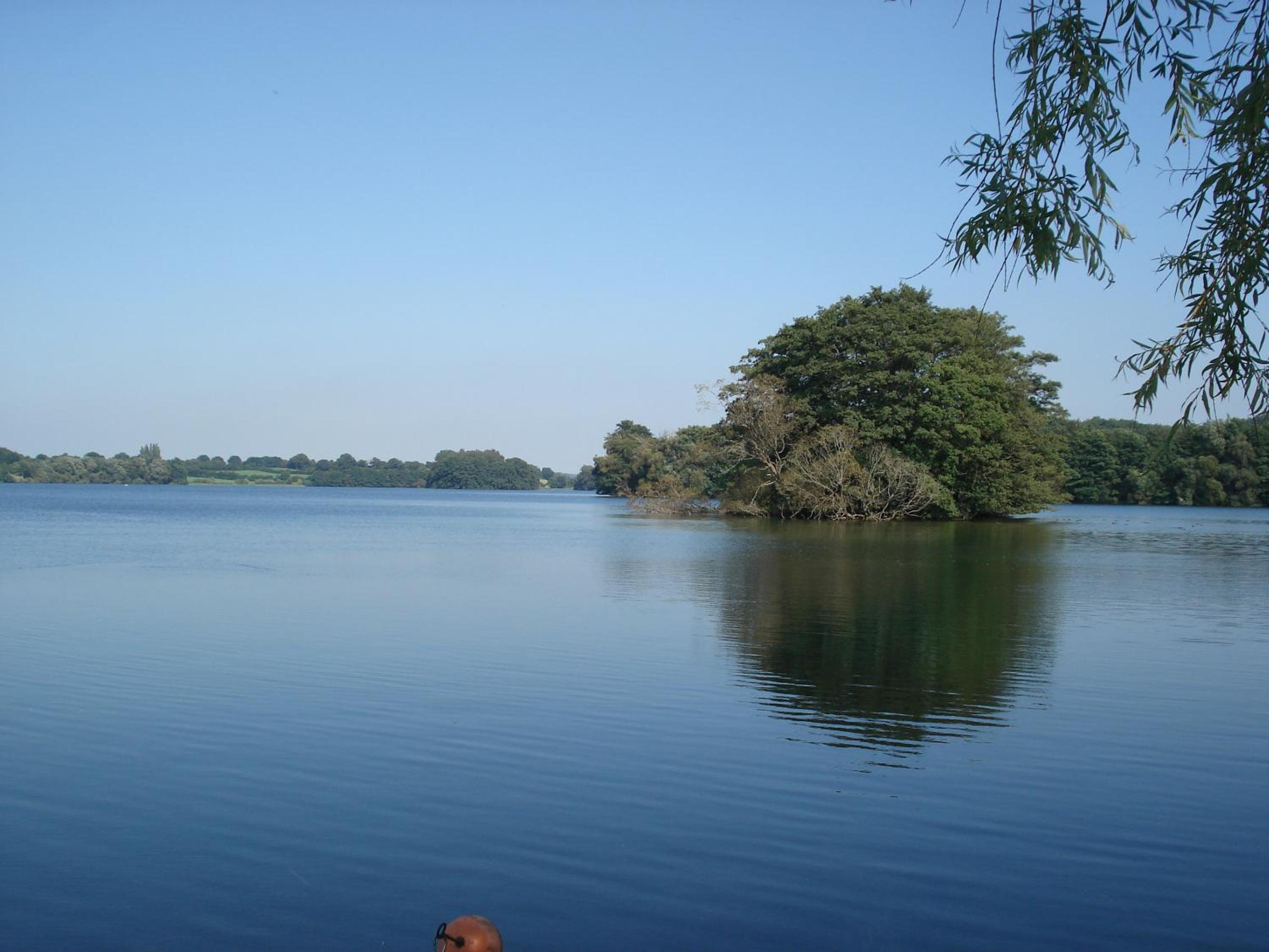 Photo 19