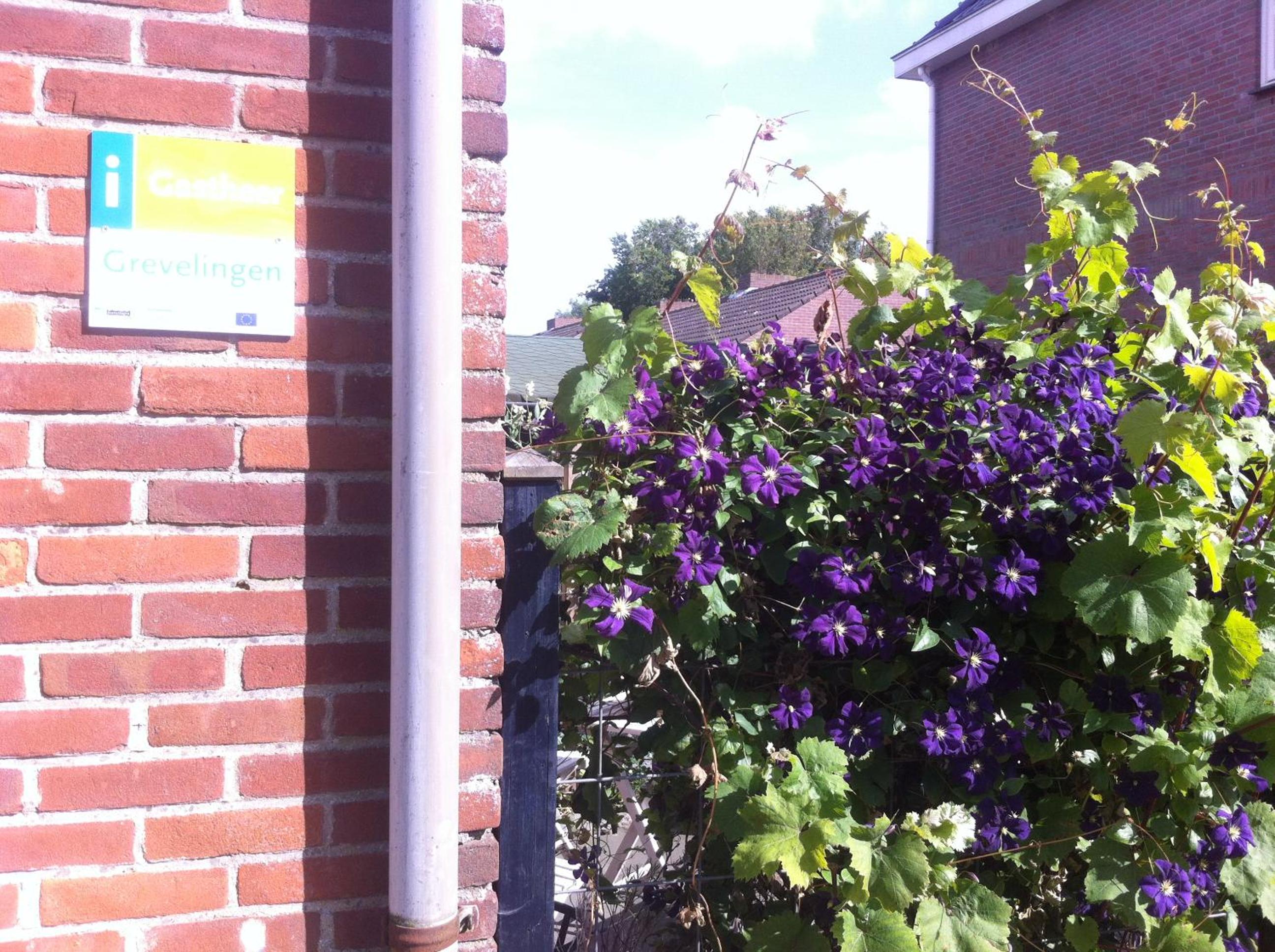 Photo 29