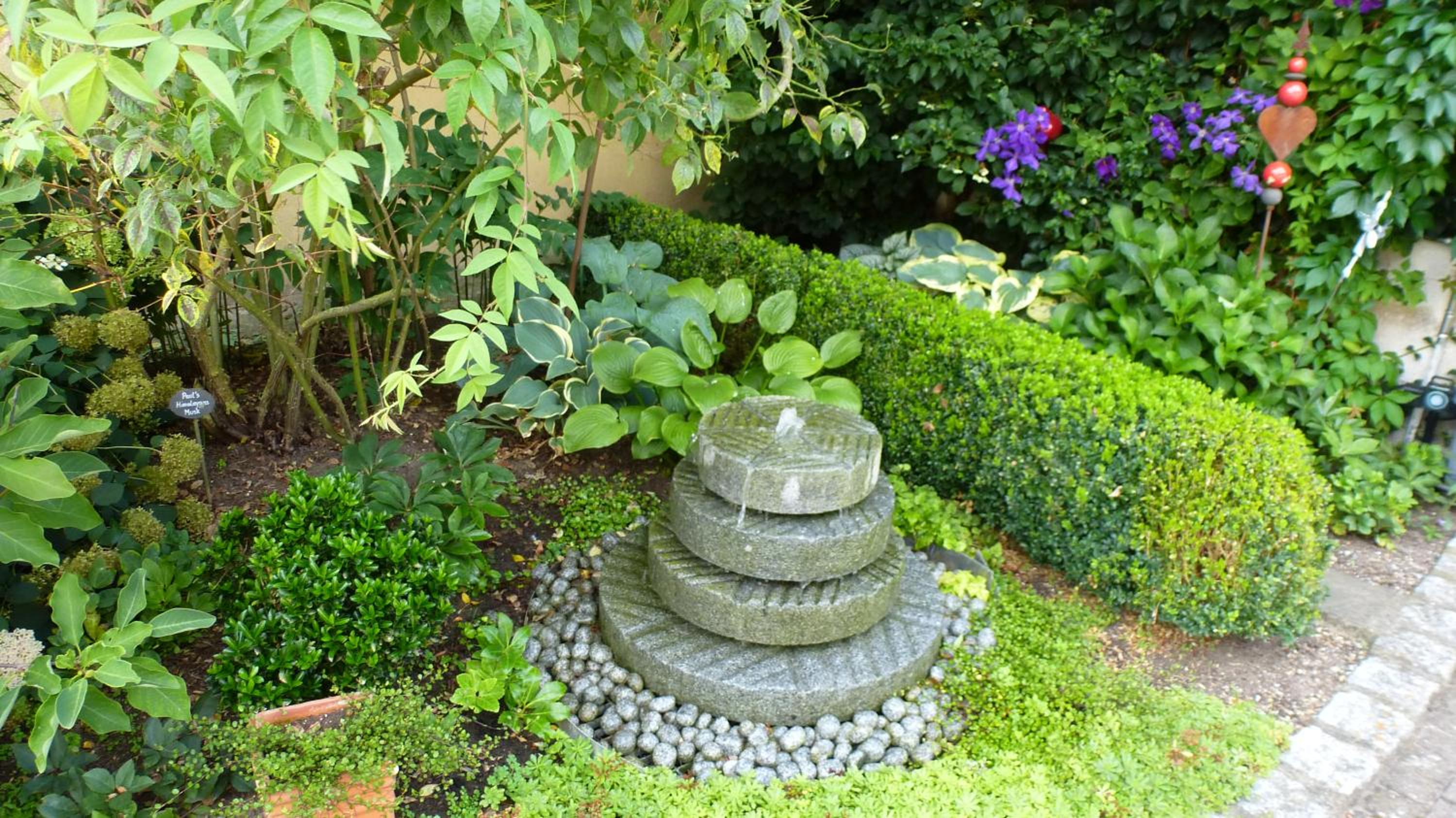 Photo 14