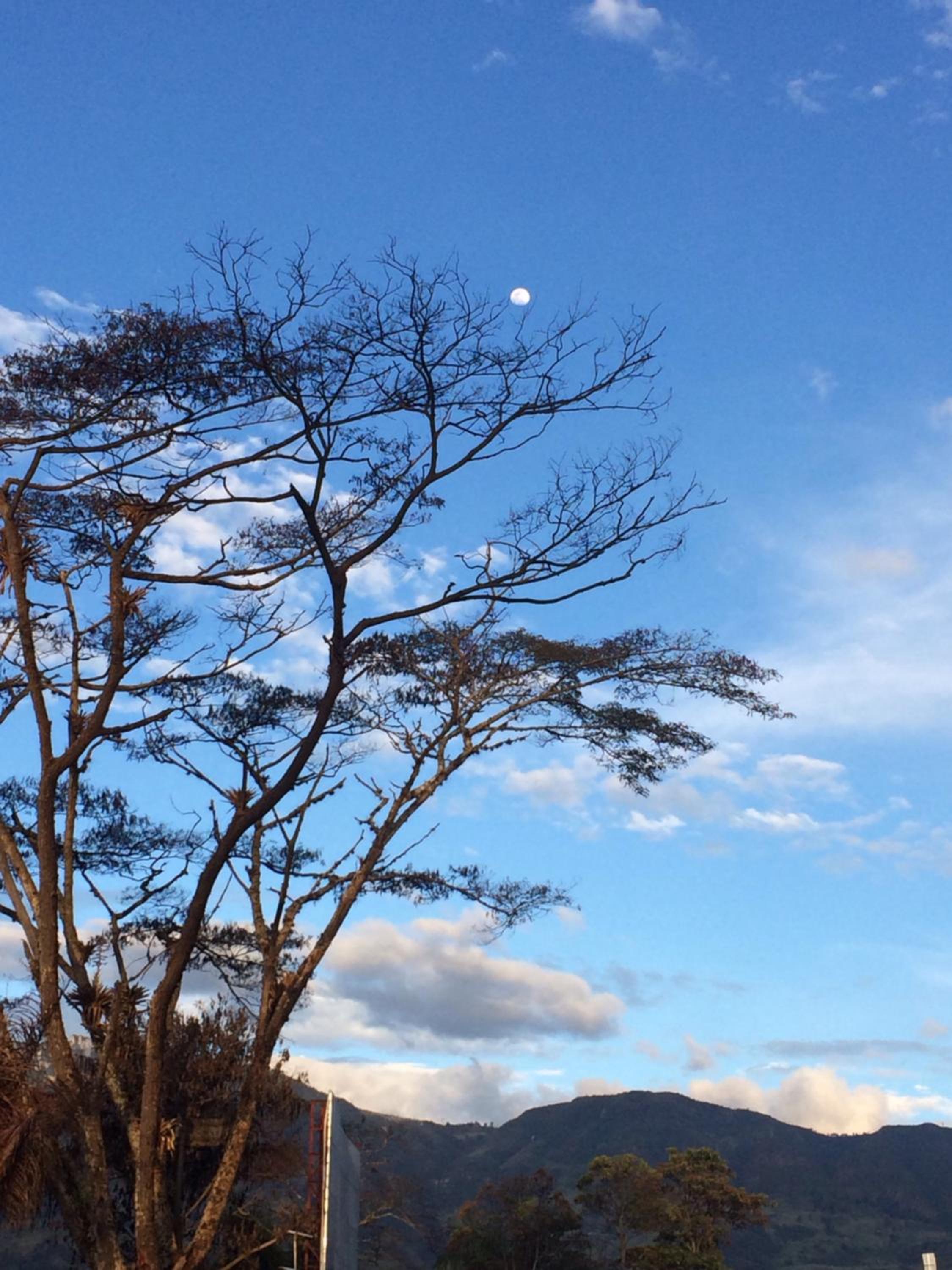 Aire Libre Descanso
