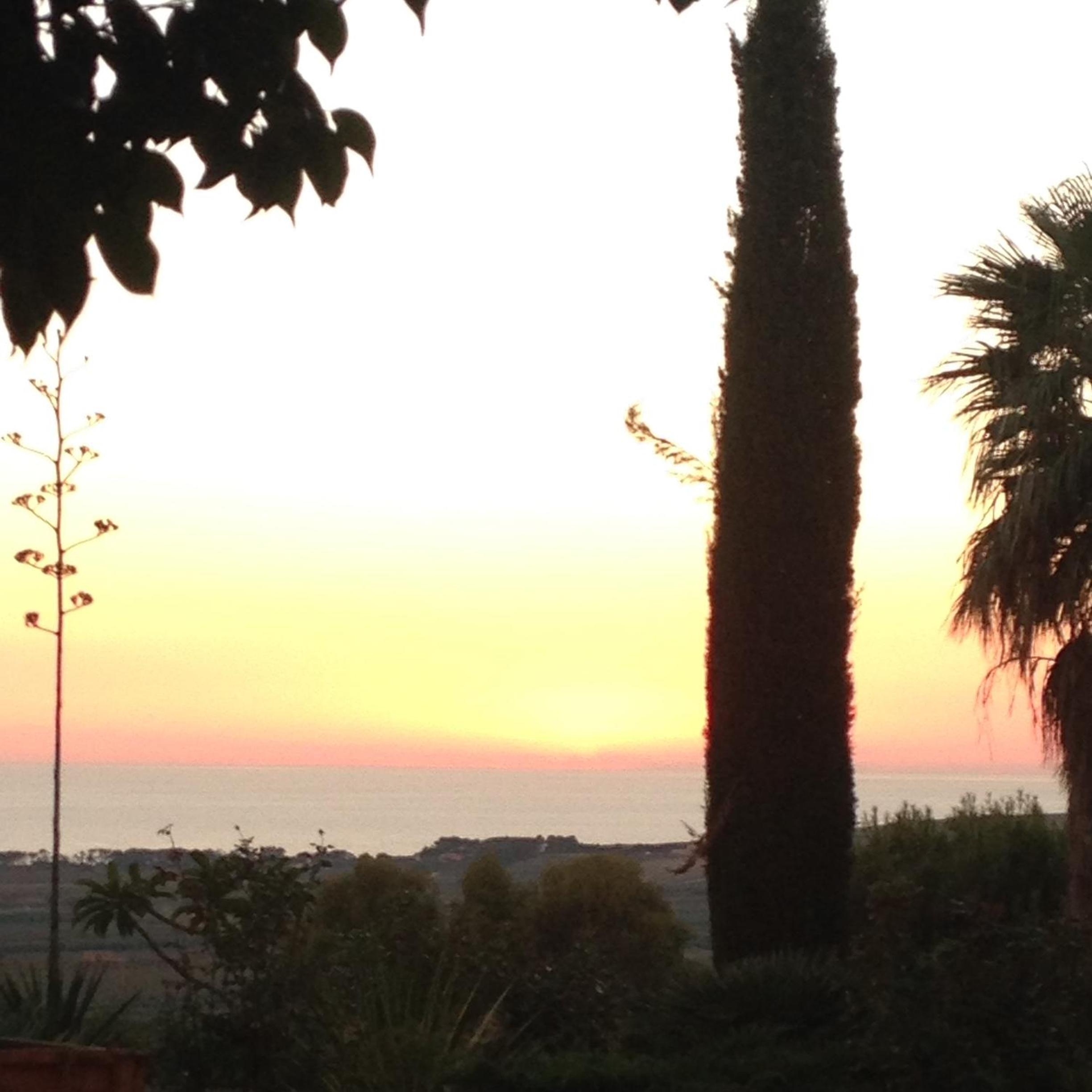 La Fattoria view 3