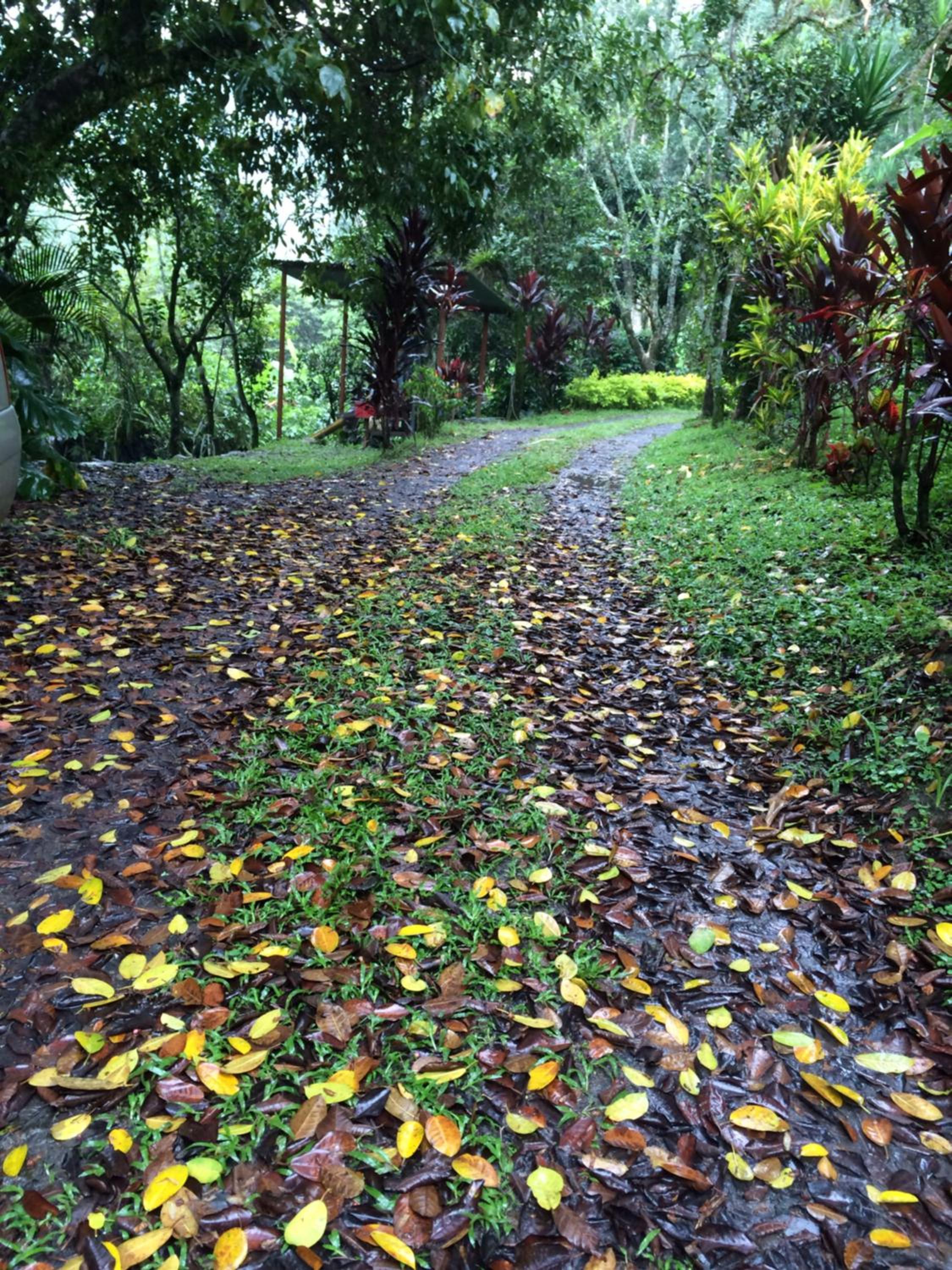 Aire Libre Descanso