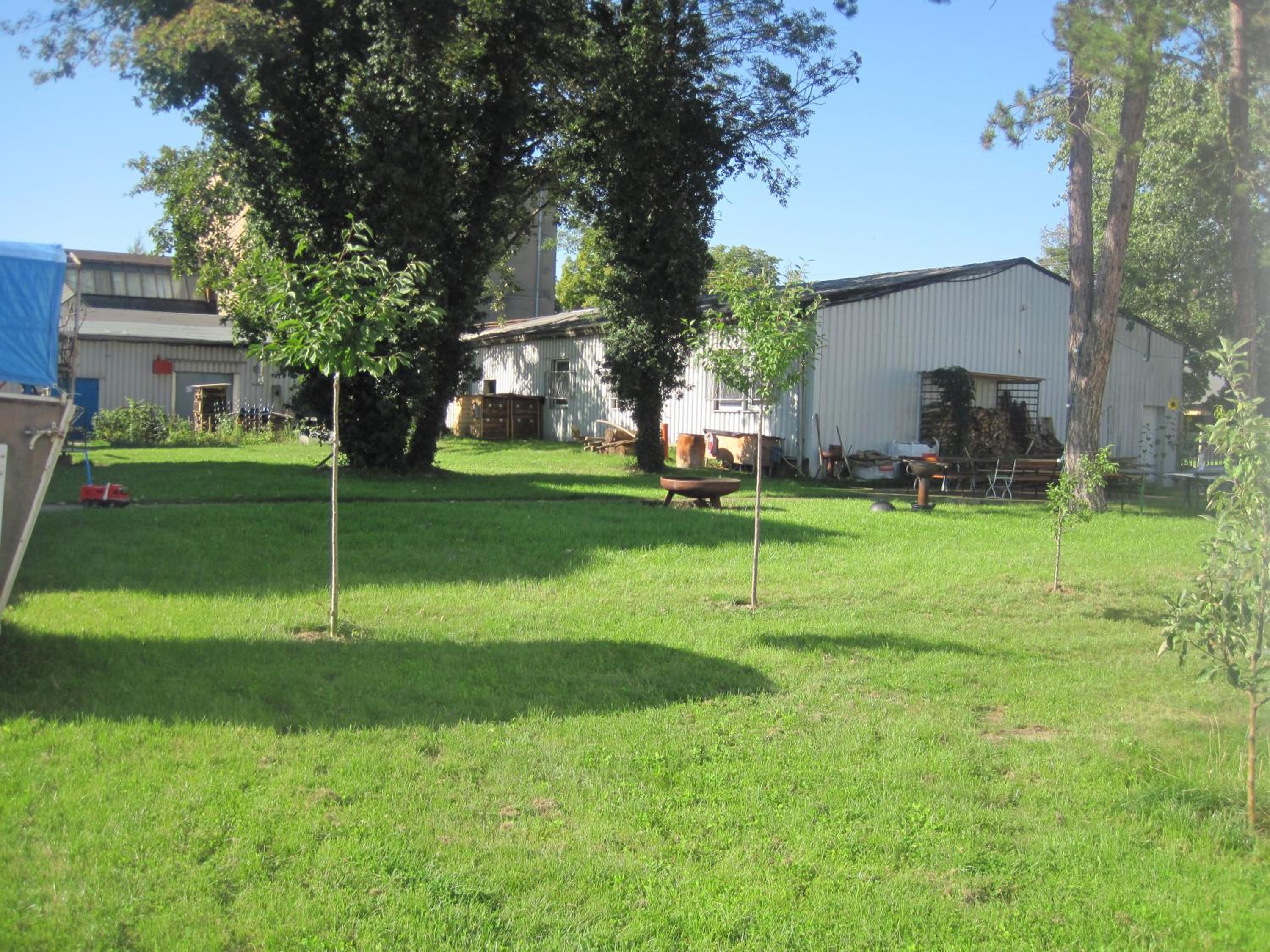Photo 12