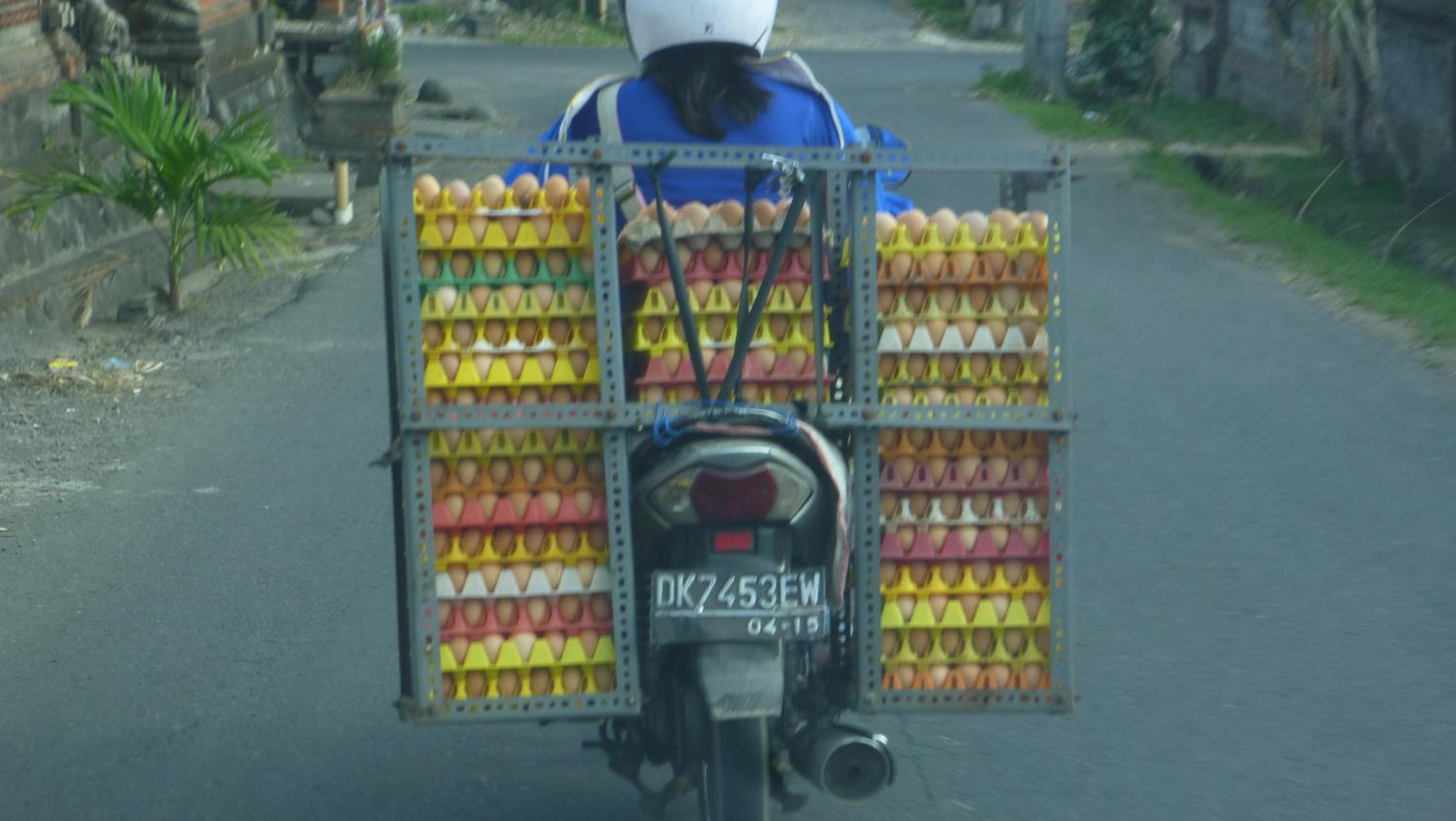 Photo 100