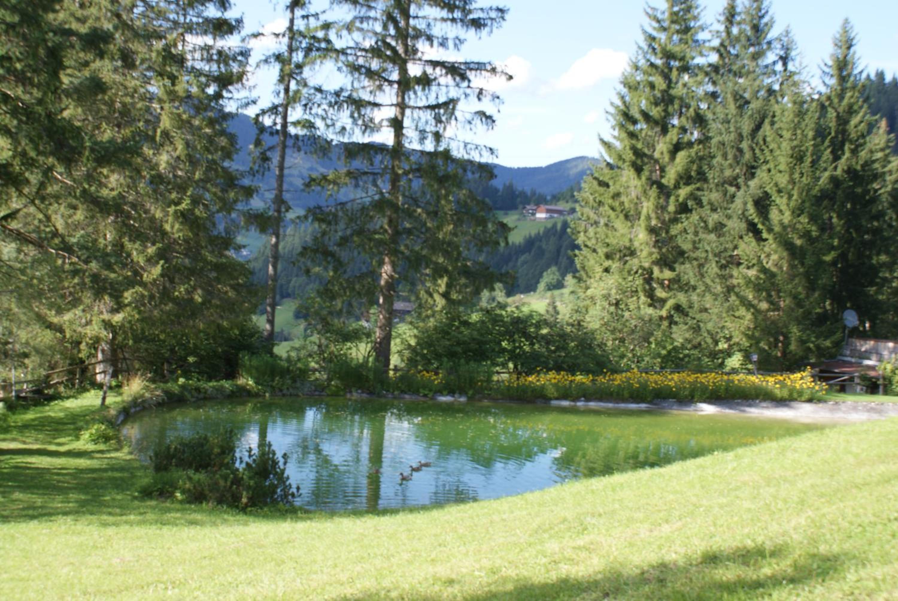 Pension Chalet Bergseegut