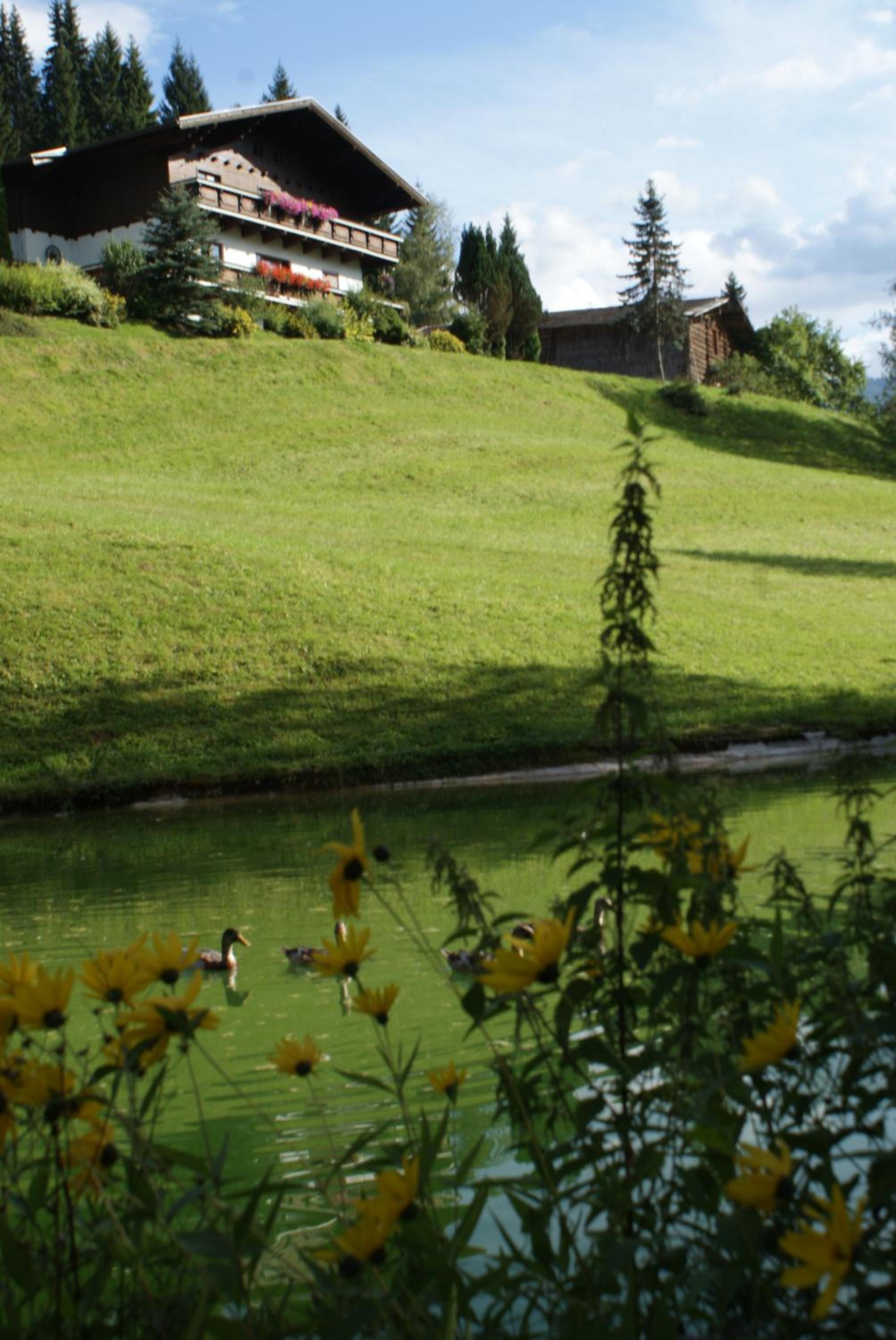 Pension Chalet Bergseegut