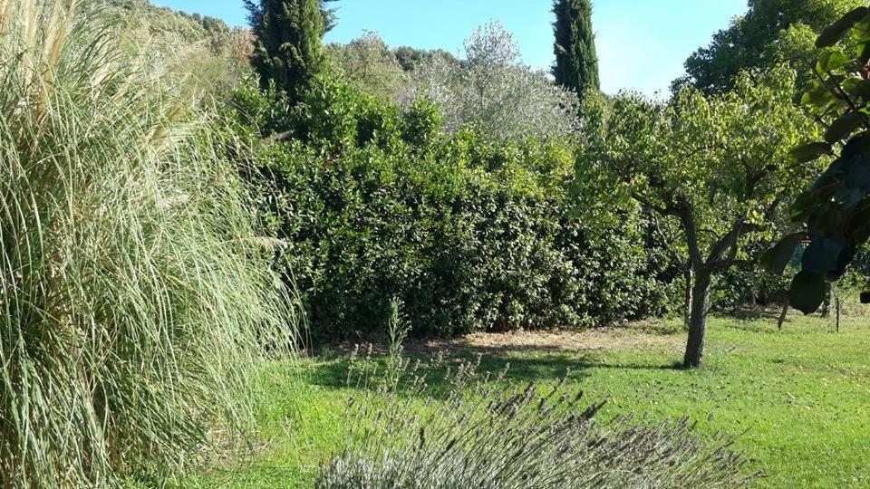 Casa Bella Vista Trevignano Romano view 3