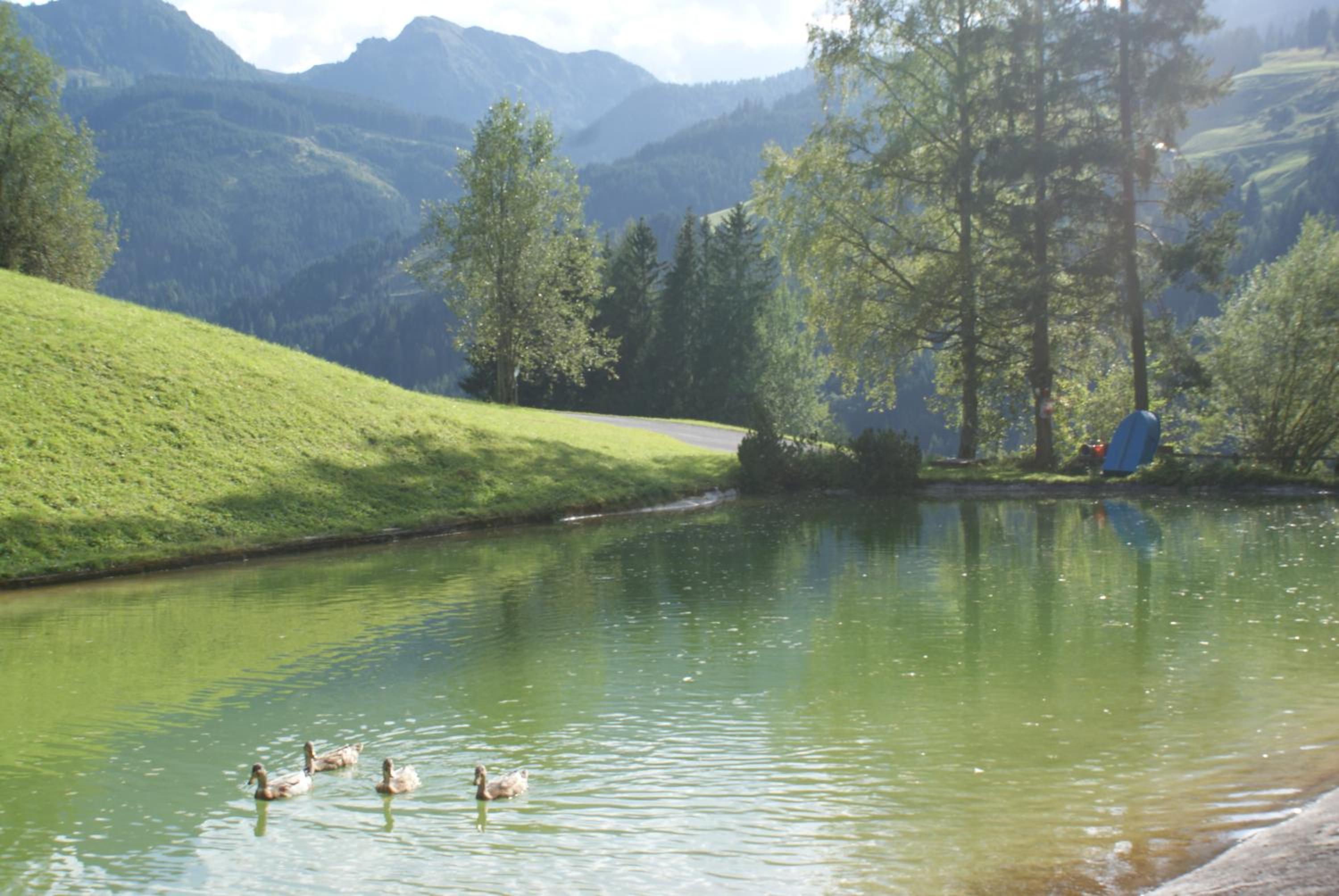Pension Chalet Bergseegut