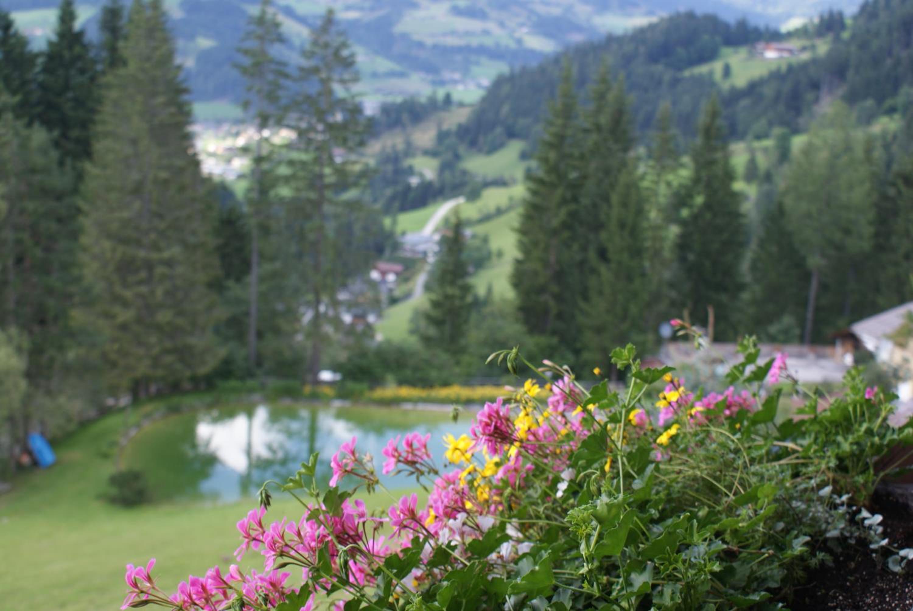 Pension Chalet Bergseegut