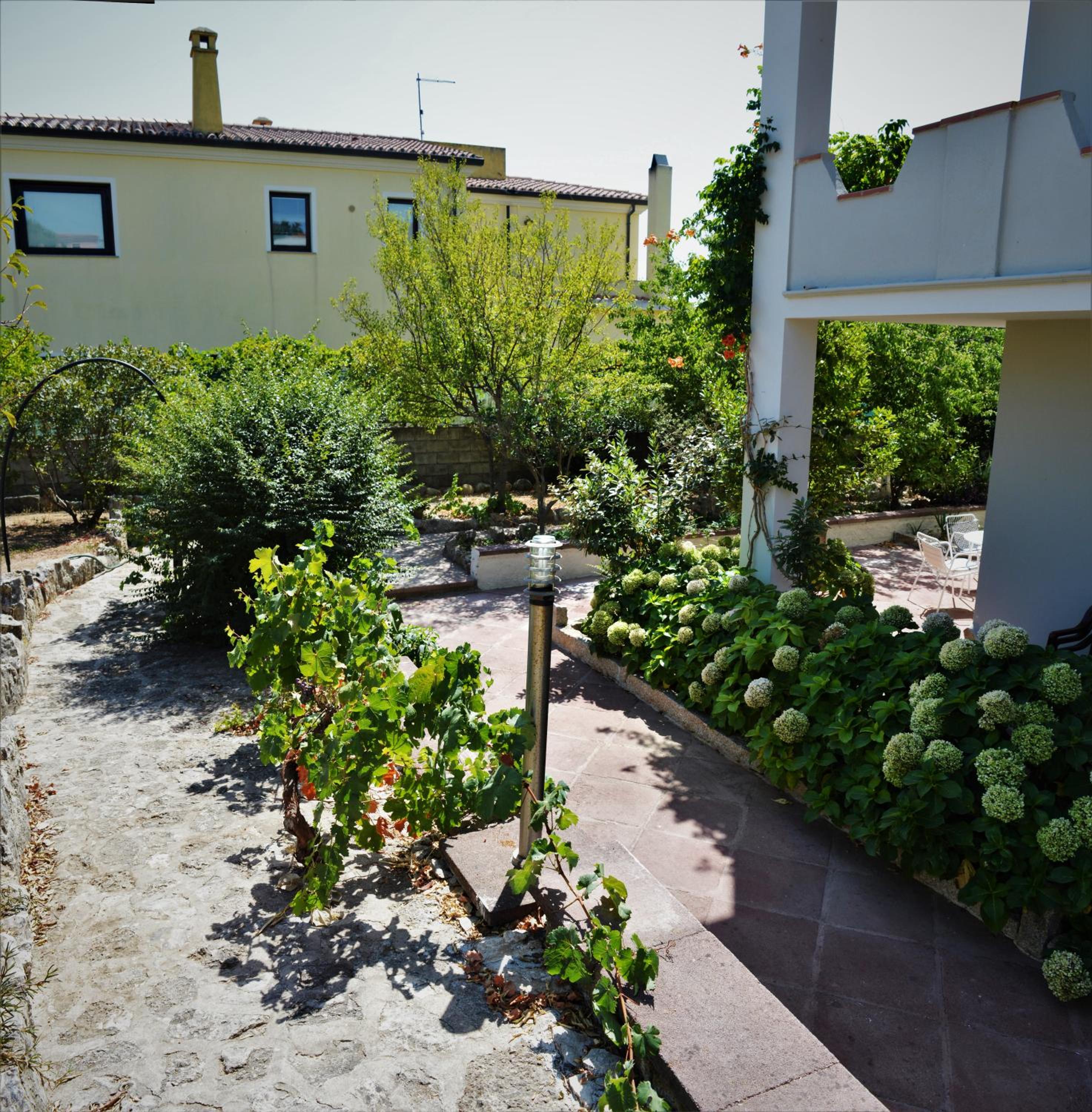 Photo 26
