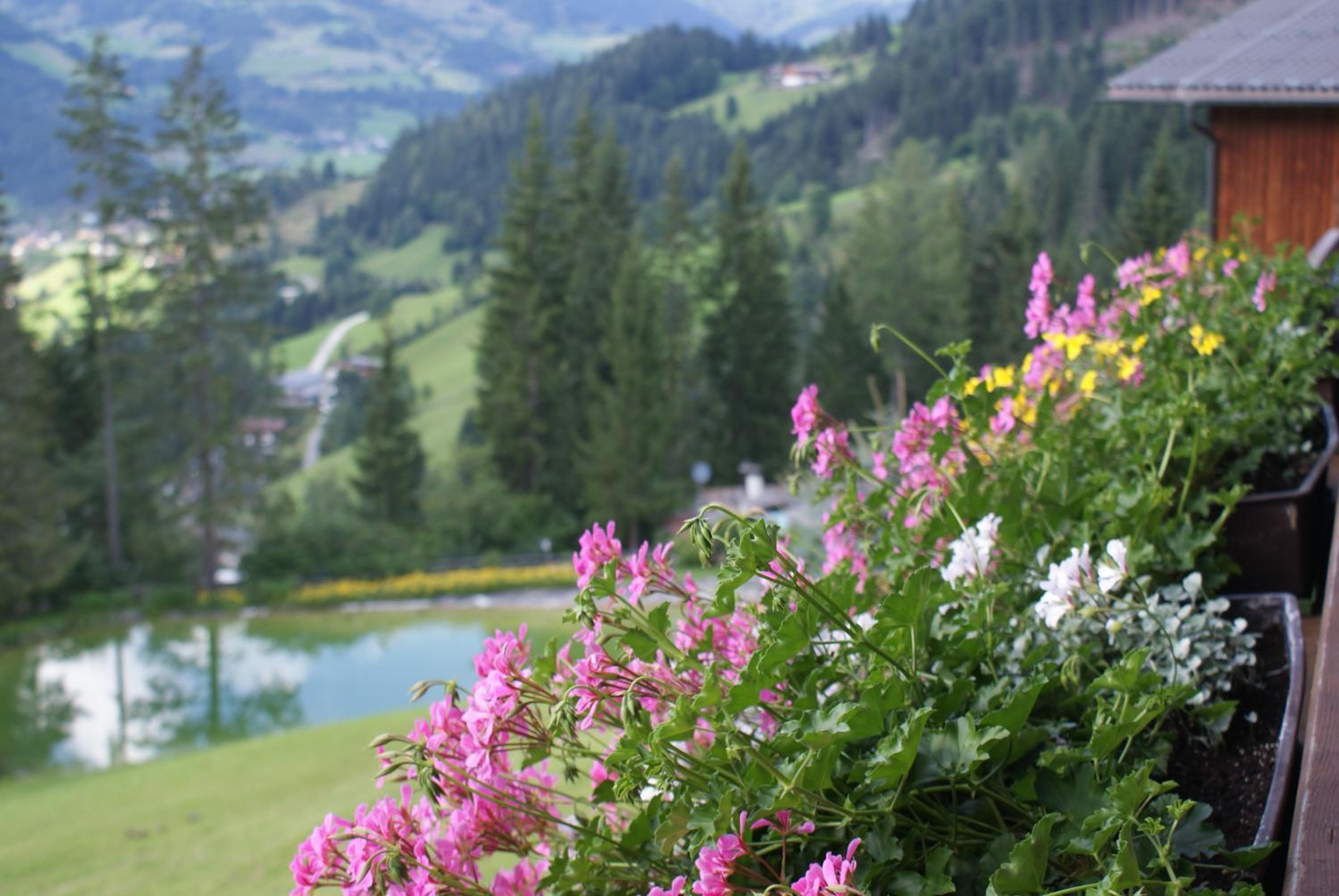 Pension Chalet Bergseegut