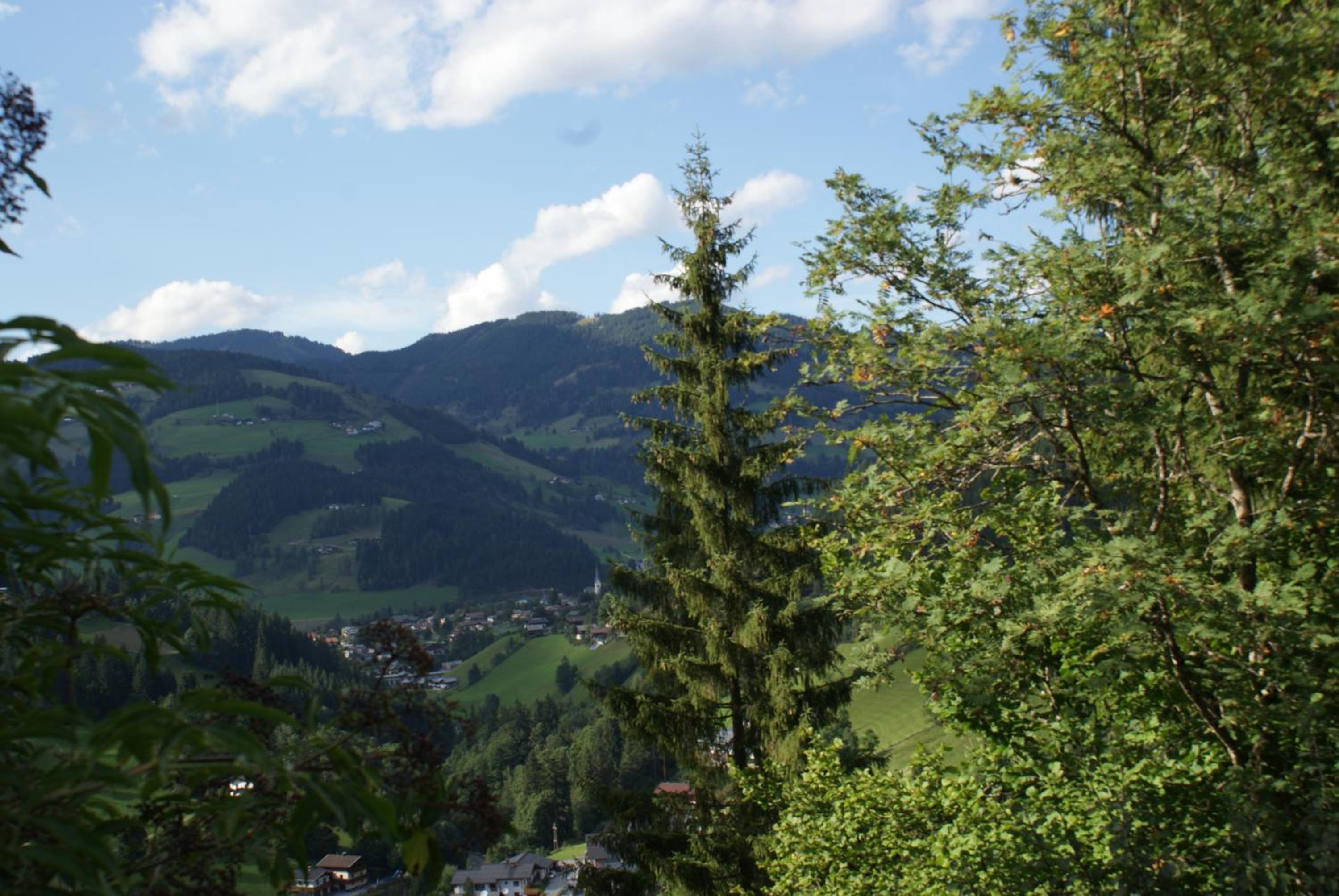 Pension Chalet Bergseegut