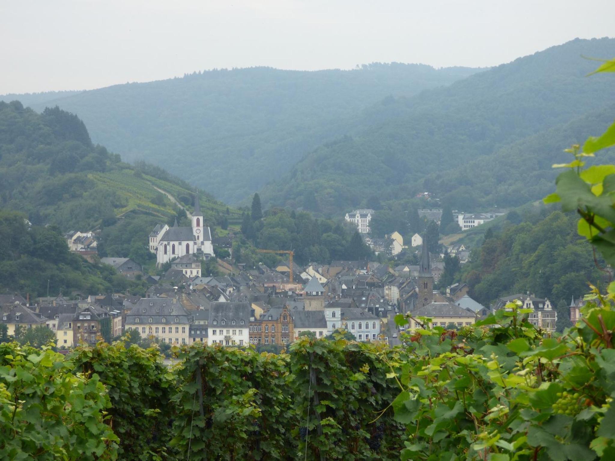 Sonnenhaus Ferienwohnungen view 3