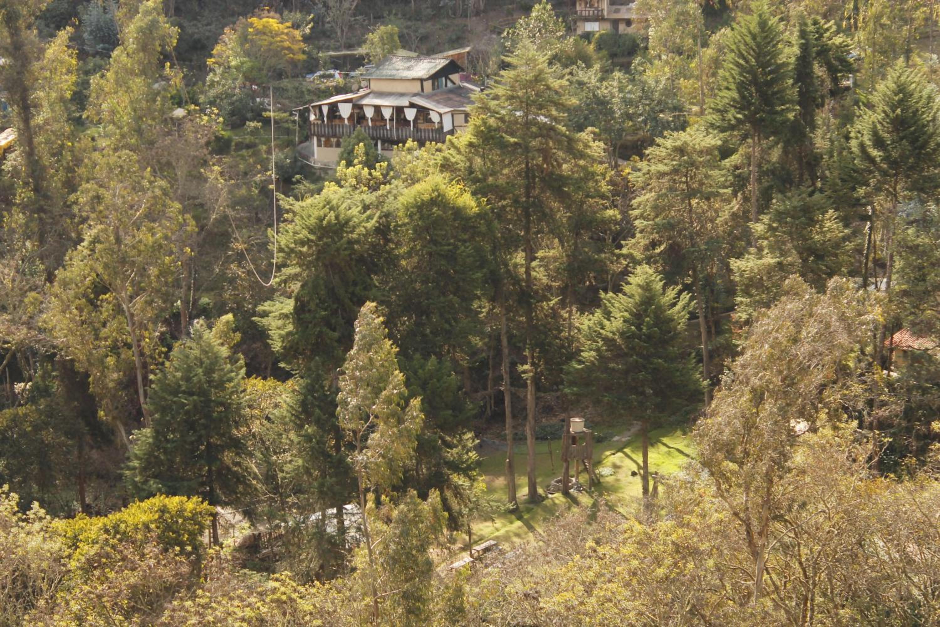 Altai Oasis Lodge