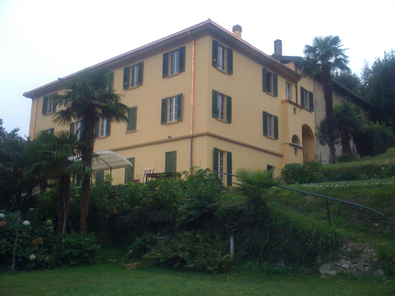 Photo 42