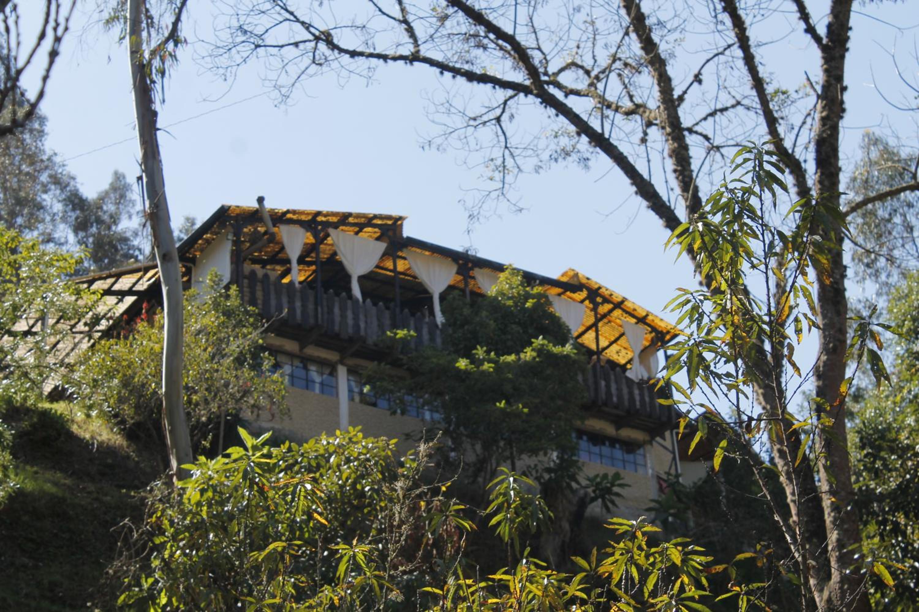 Altai Oasis Lodge