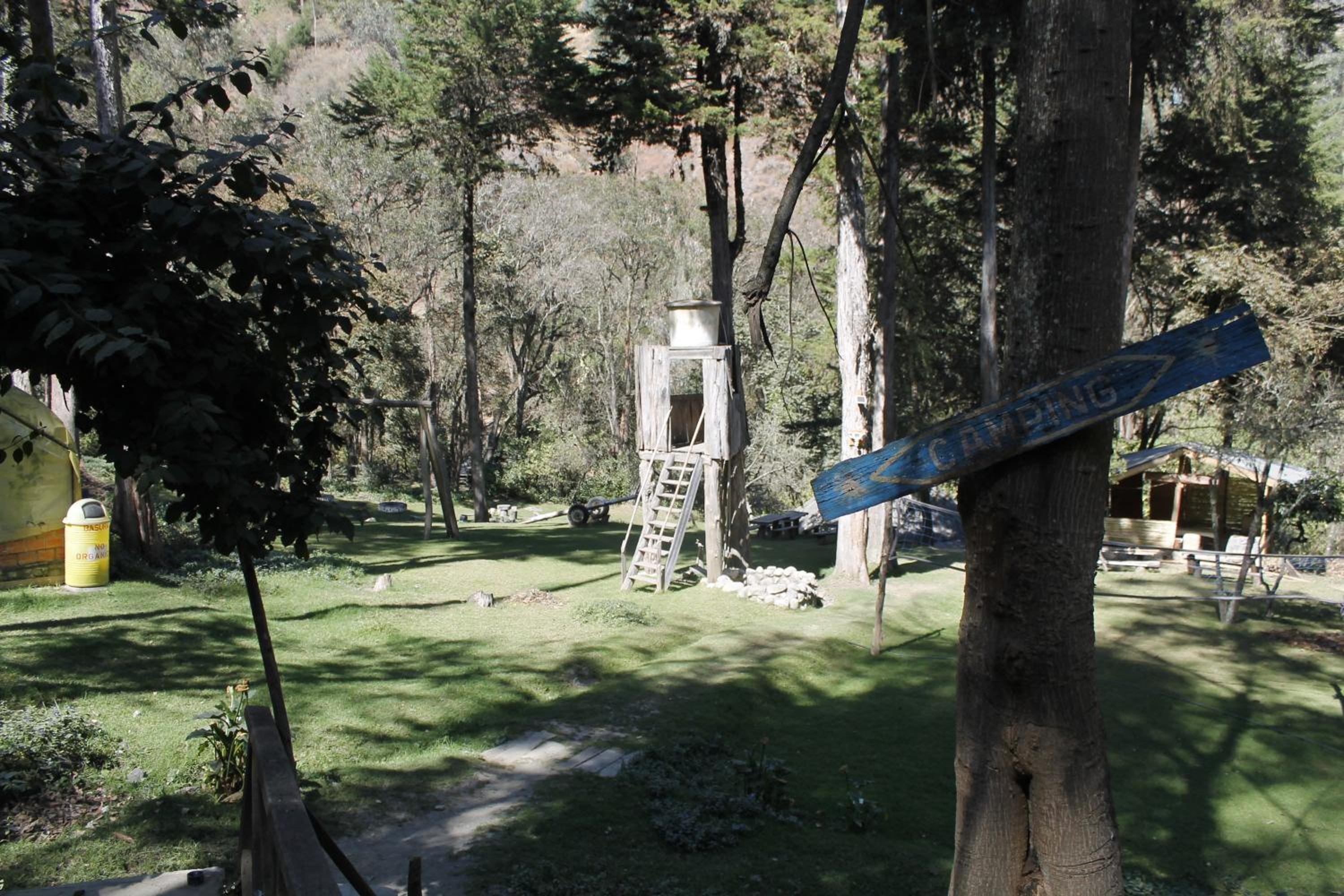 Altai Oasis Lodge