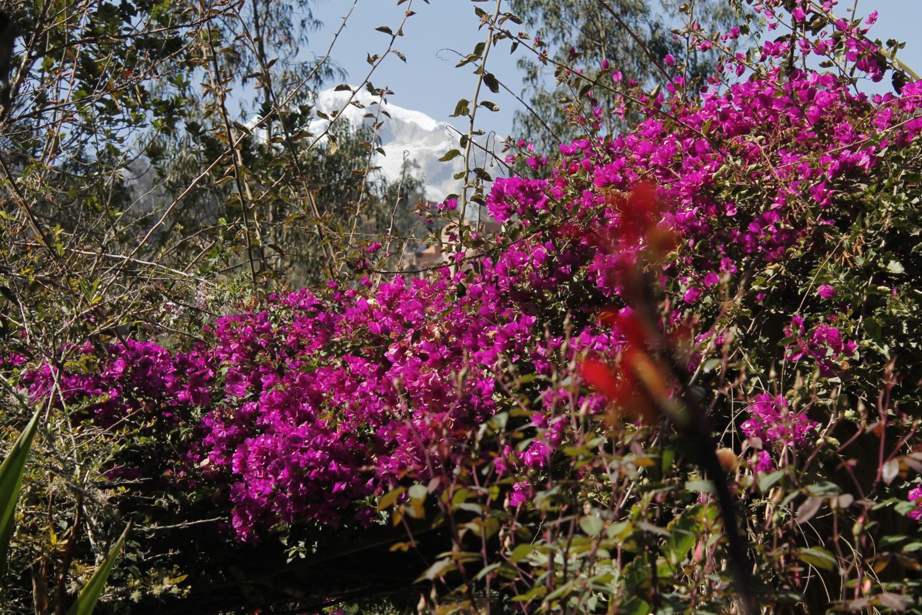 Altai Oasis Lodge