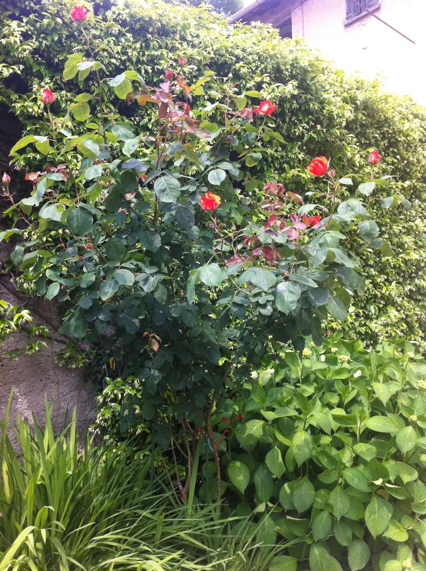 Photo 17