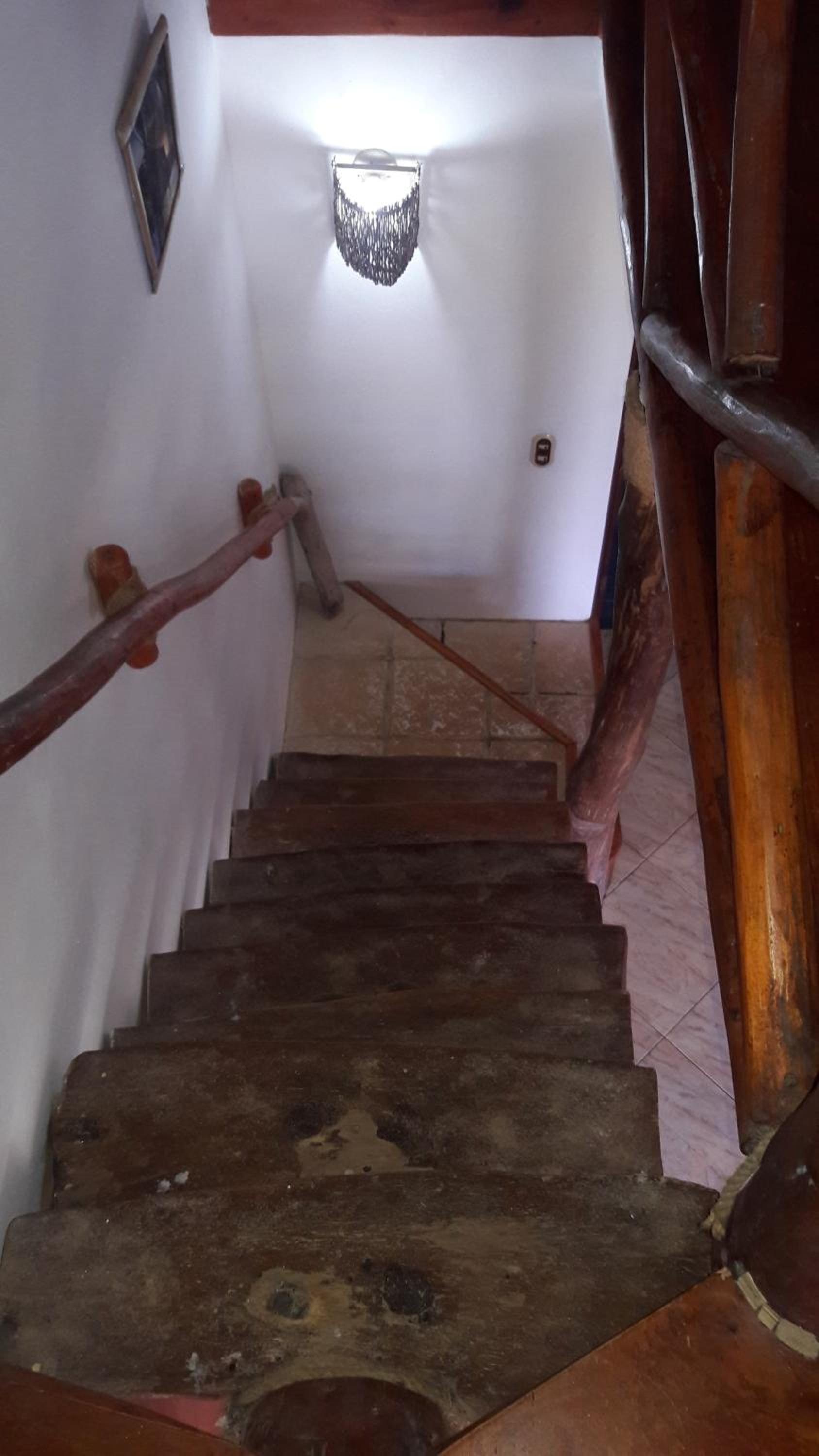 Photo 51