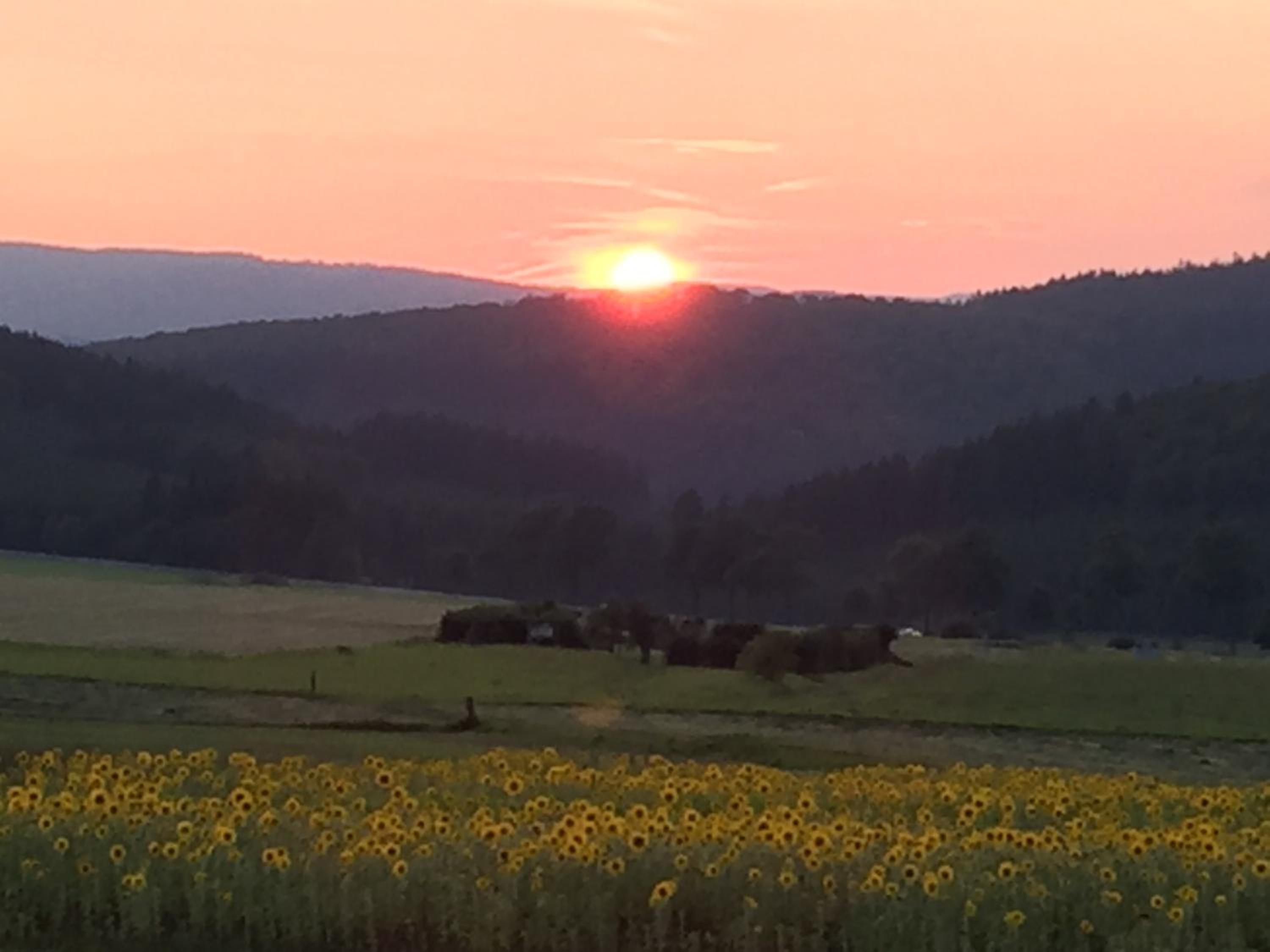 Ferienwohnung Sauerlandblick