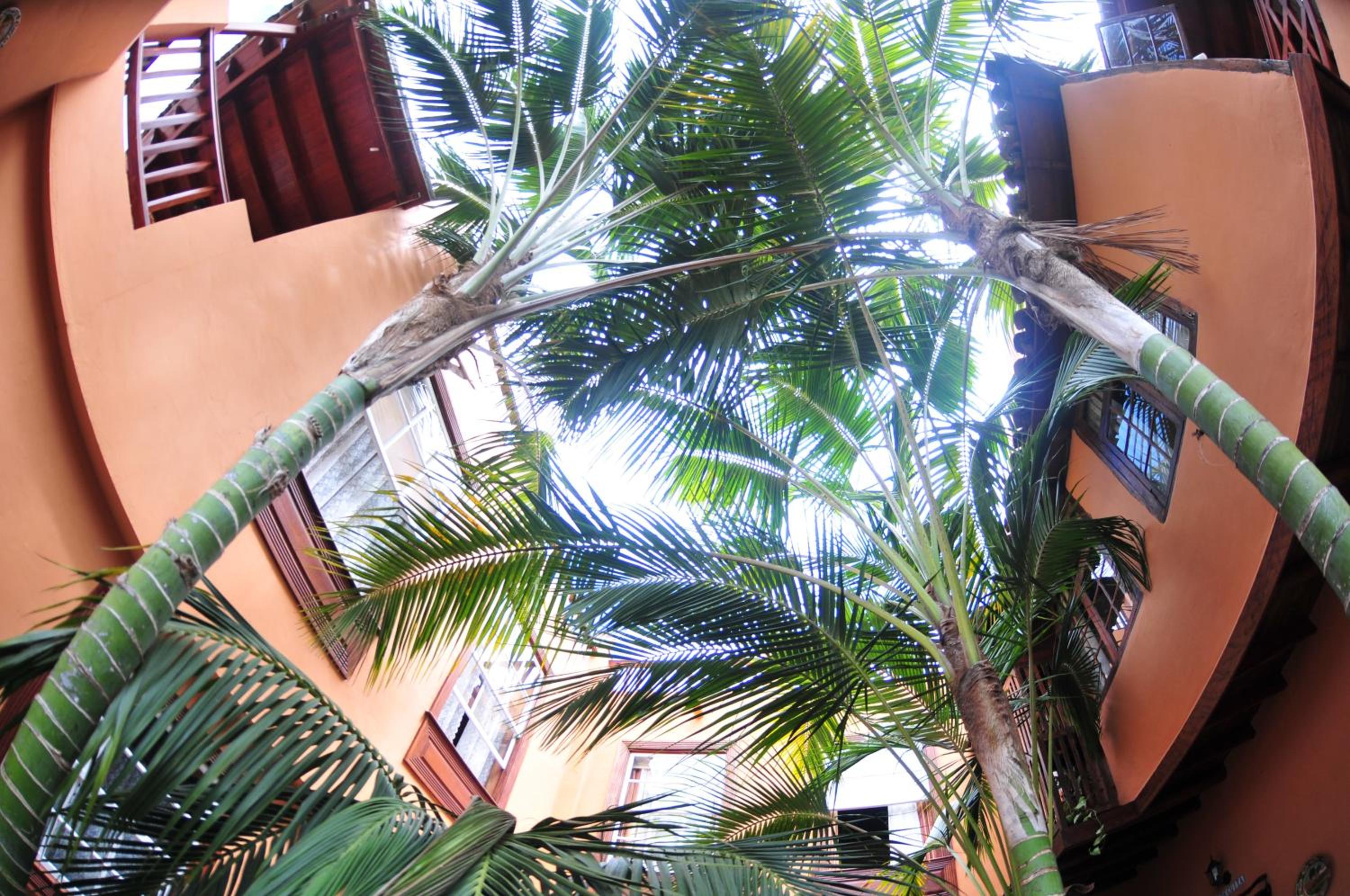 Hotel Emblemático San Marcos en Icod de los Vinos — other