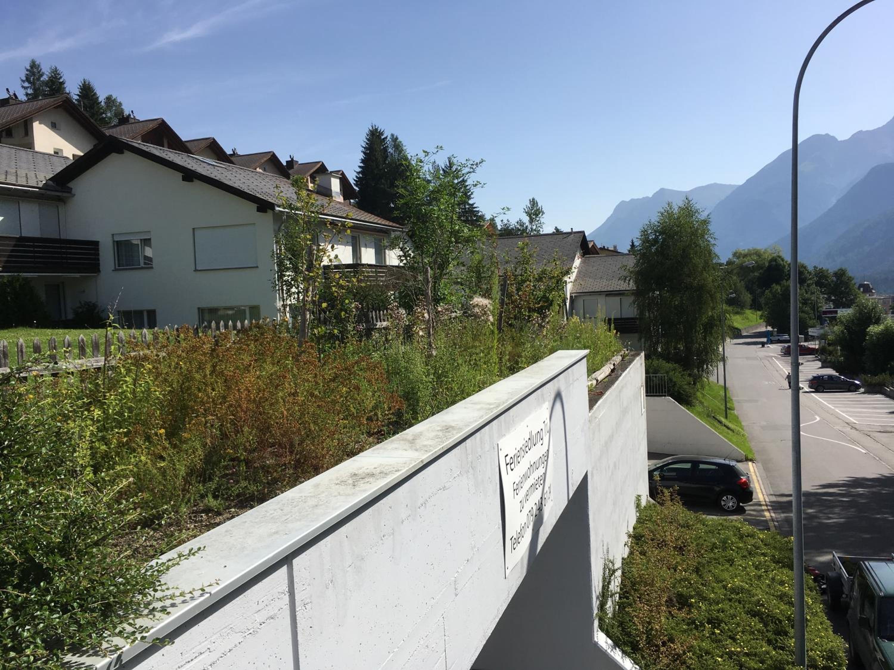 Photo 38