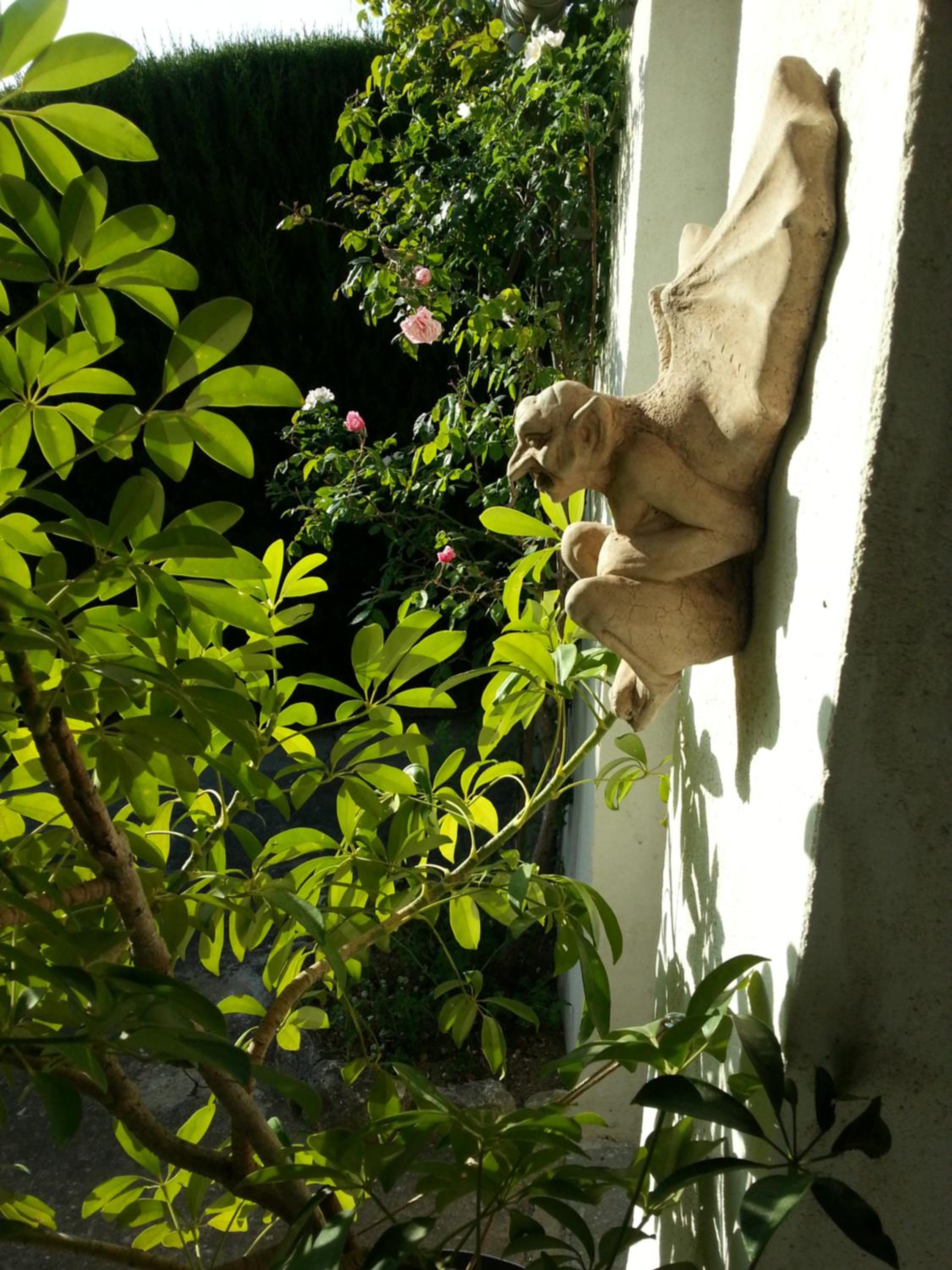 Photo 24