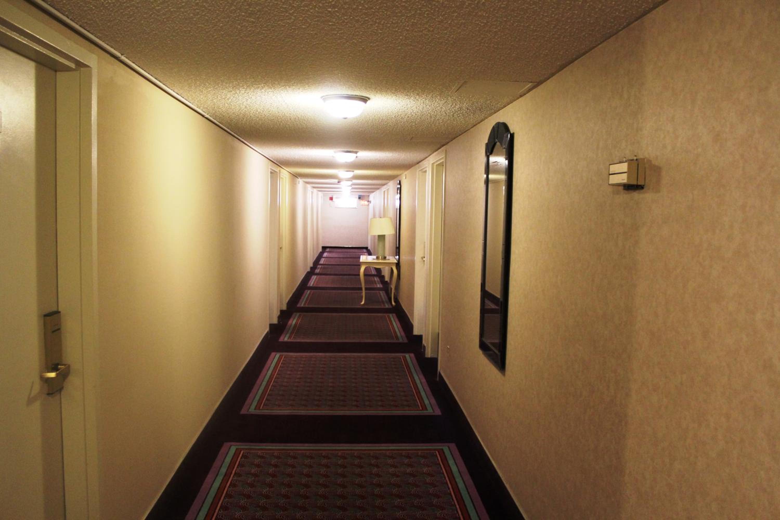 Photo 48