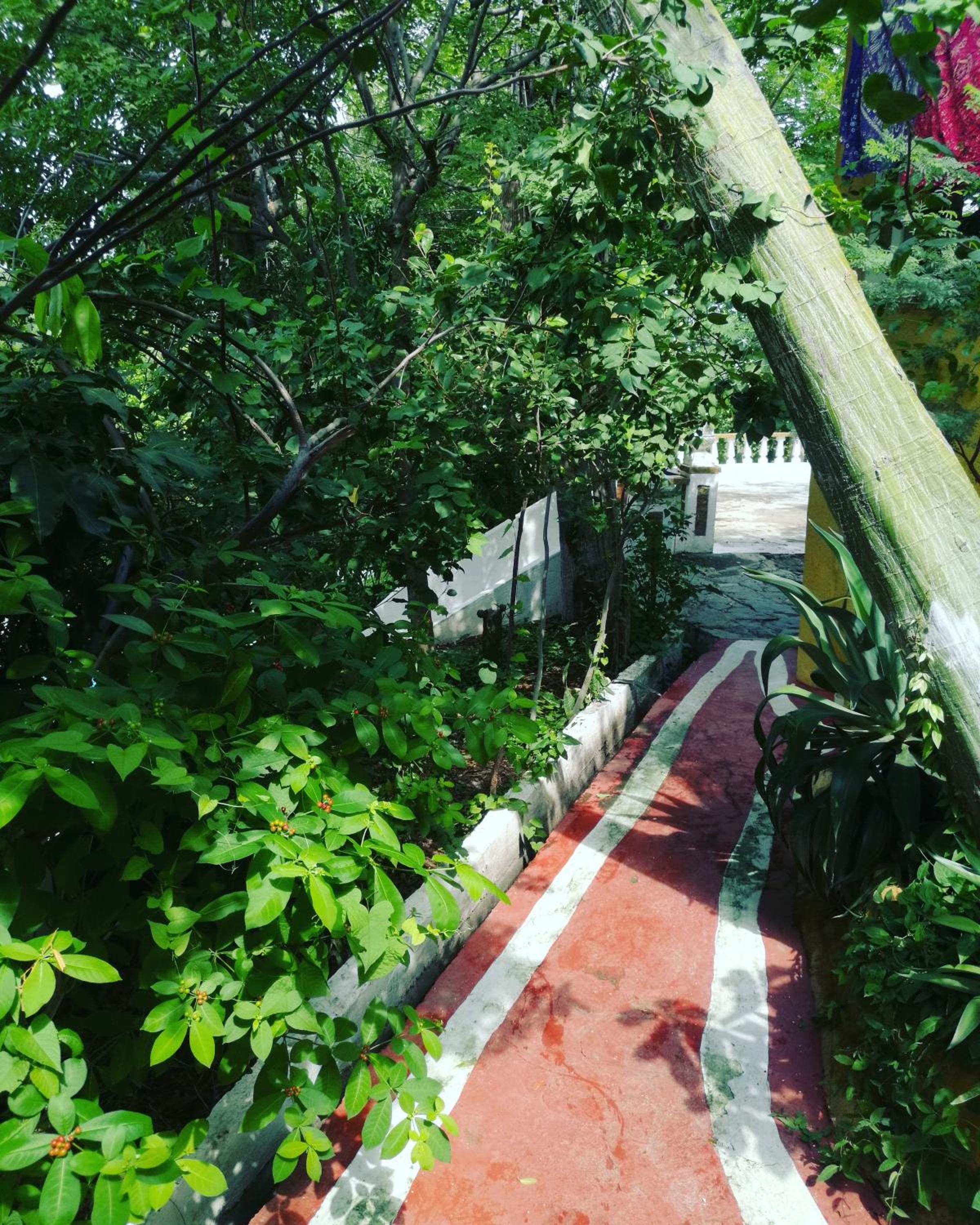 Jardin Etnobotanico Villa Ludovica